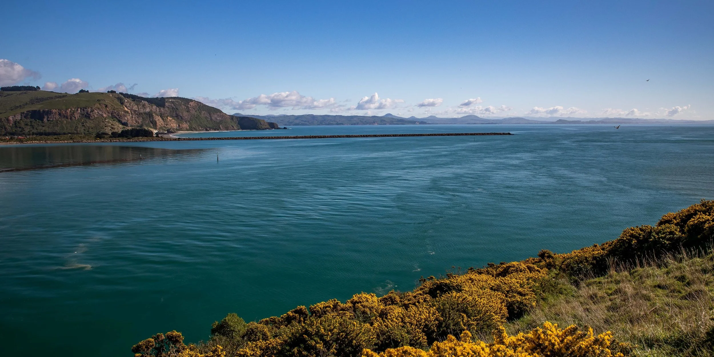 Otago Harbour Entrance,-560.JPG