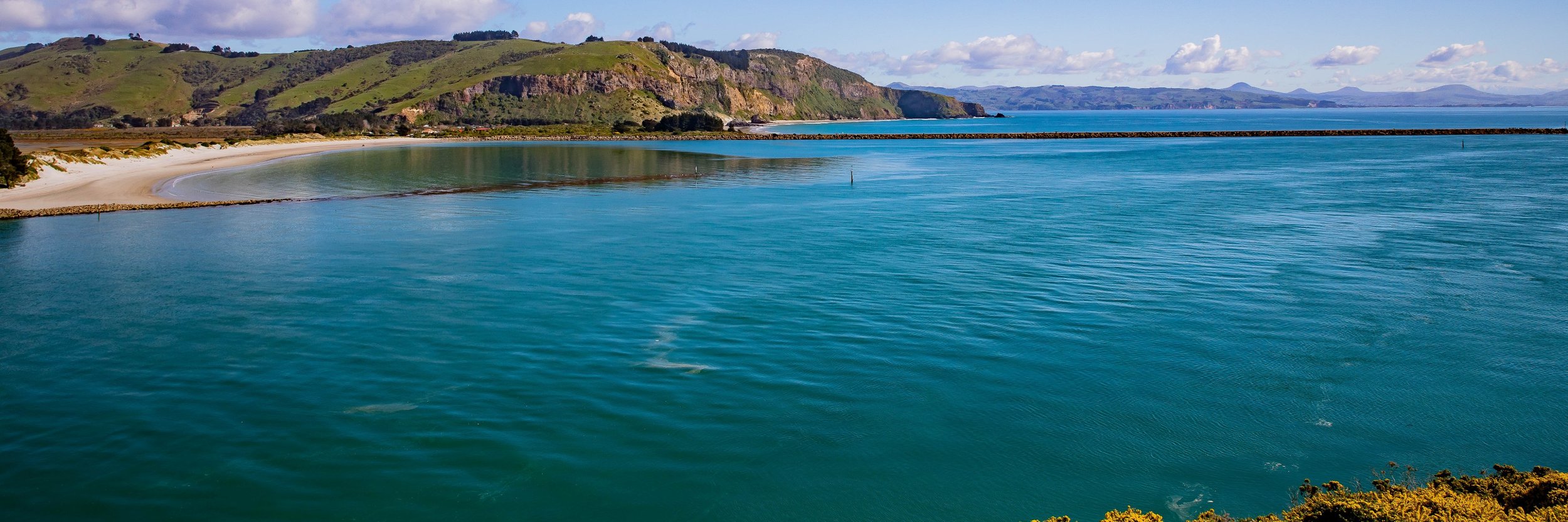 Otago Harbour Entrance,-561.JPG