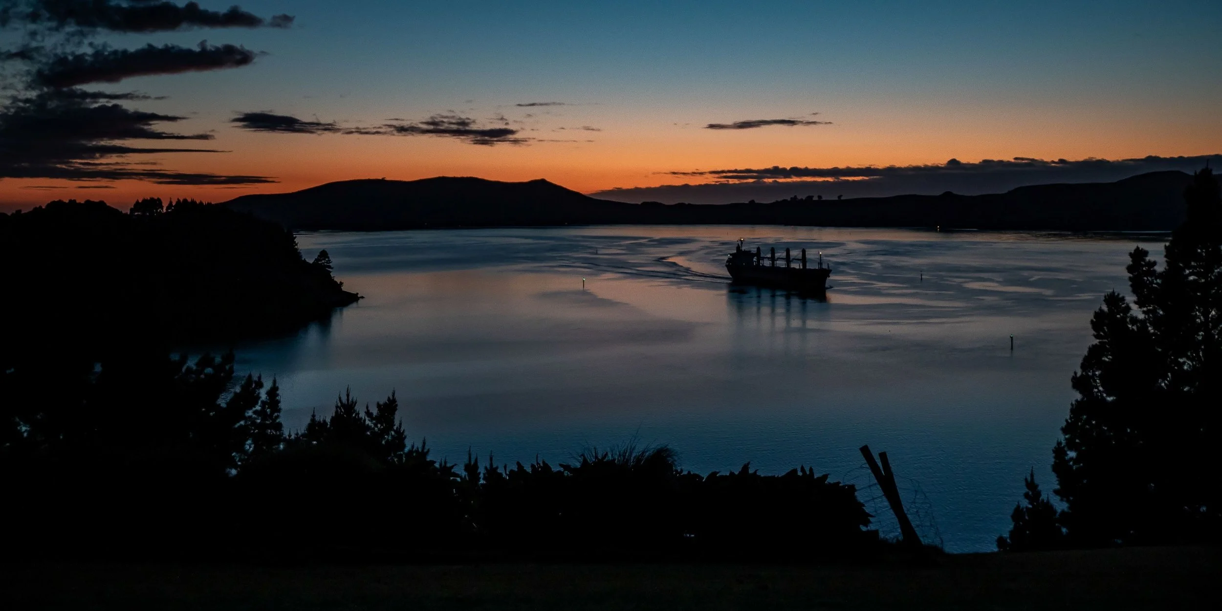 Otago Harbour,-488.JPG