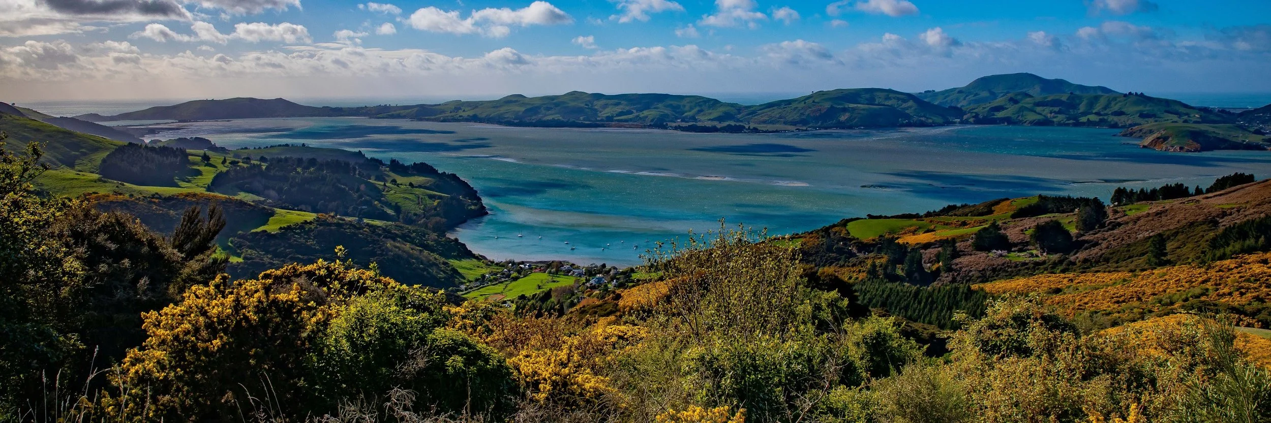 Otago harbour,-210.JPG