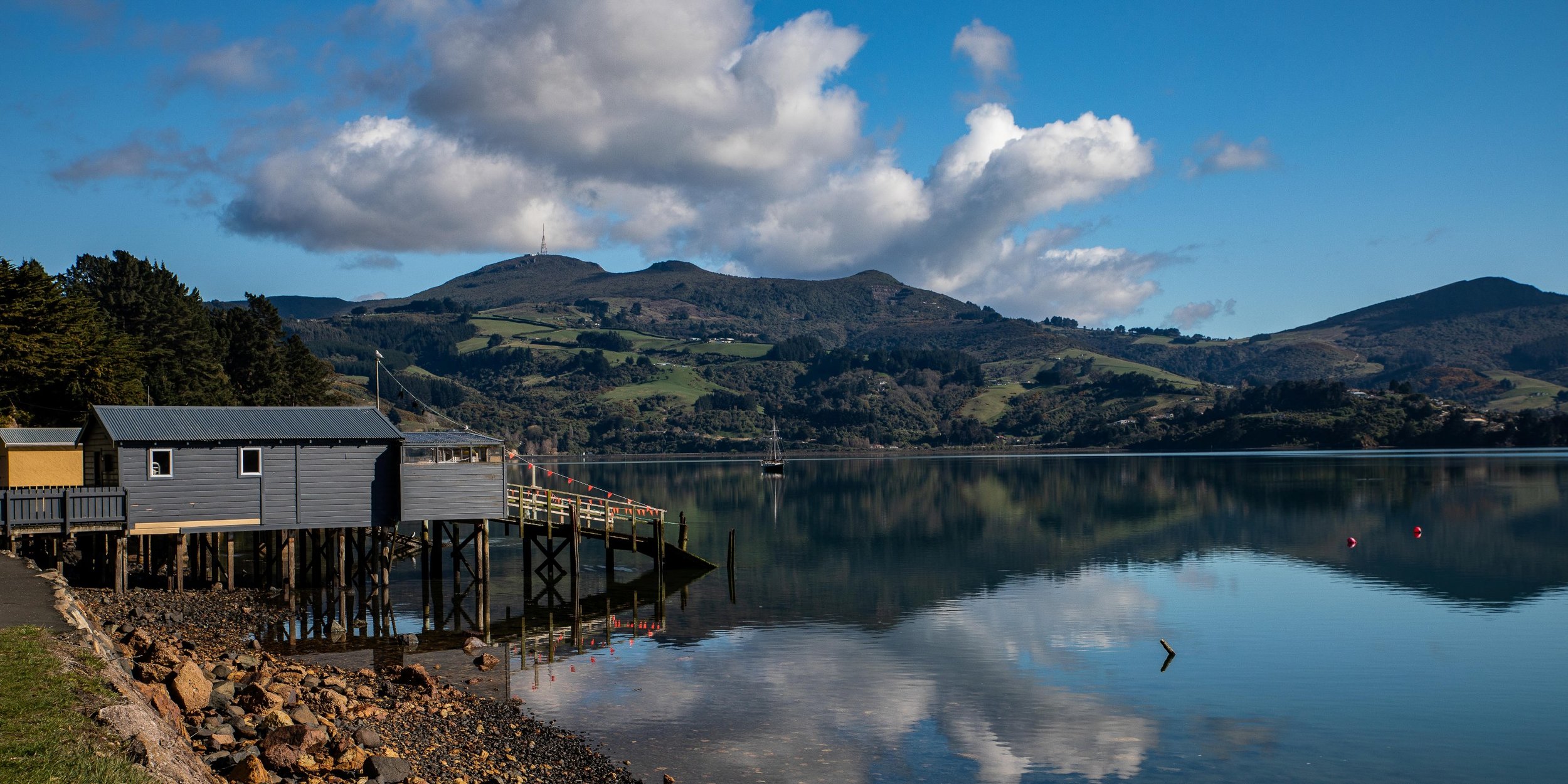Otago Harbour,-527.JPG