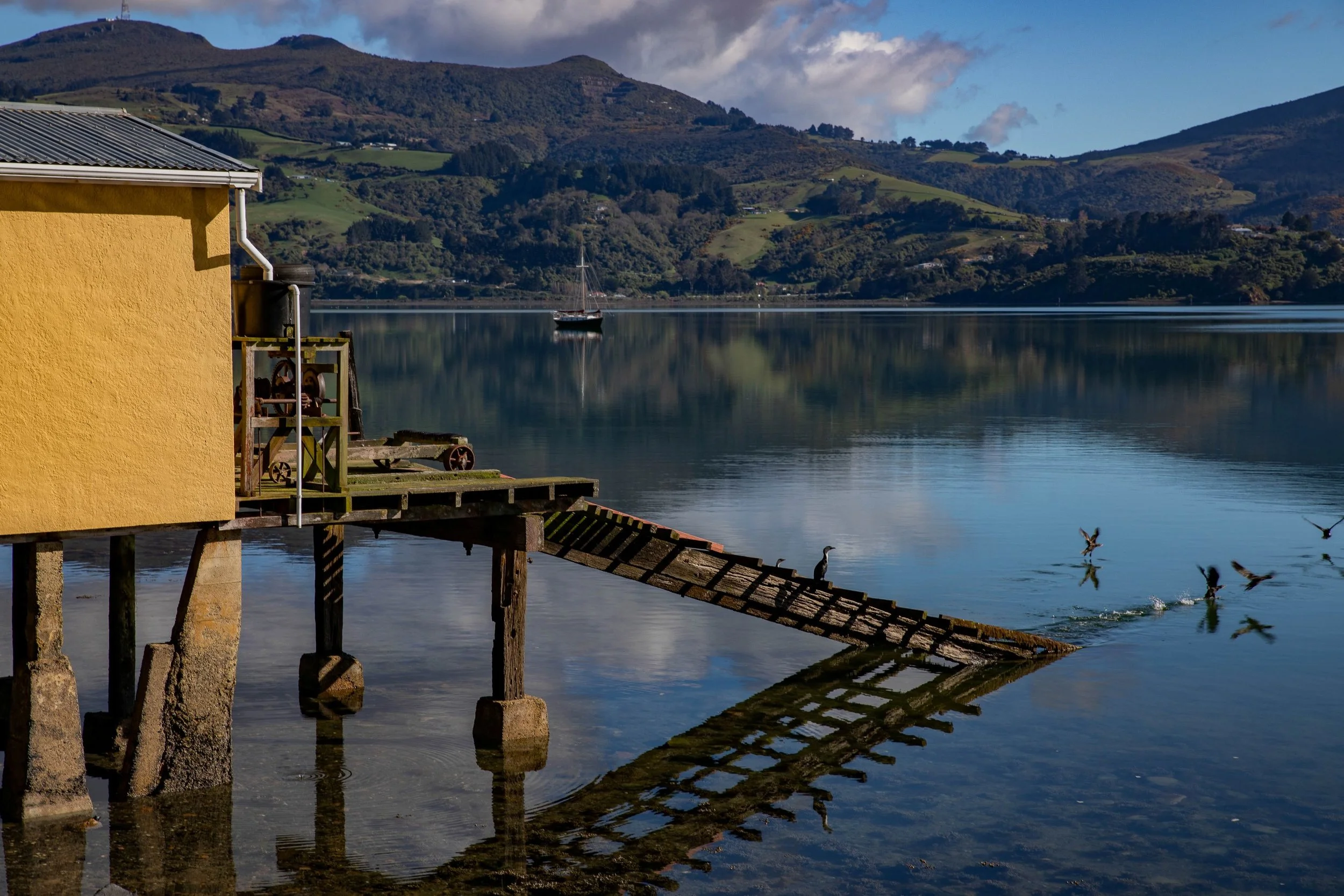 Otago Harbour,-530.JPG