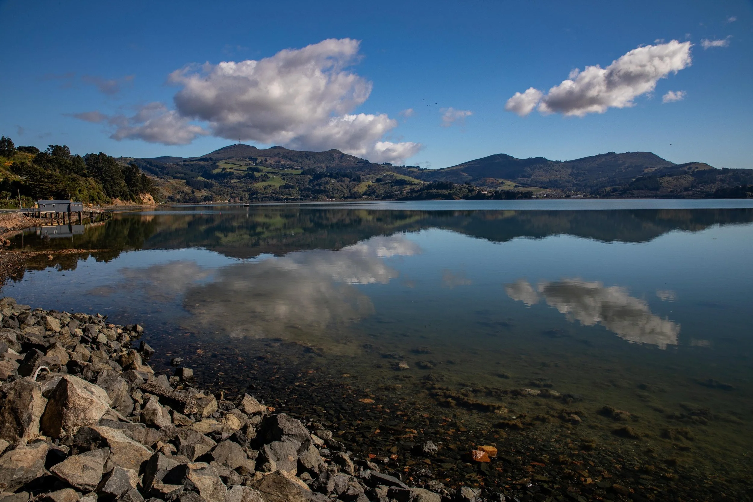 Otago Harbour,-544.JPG