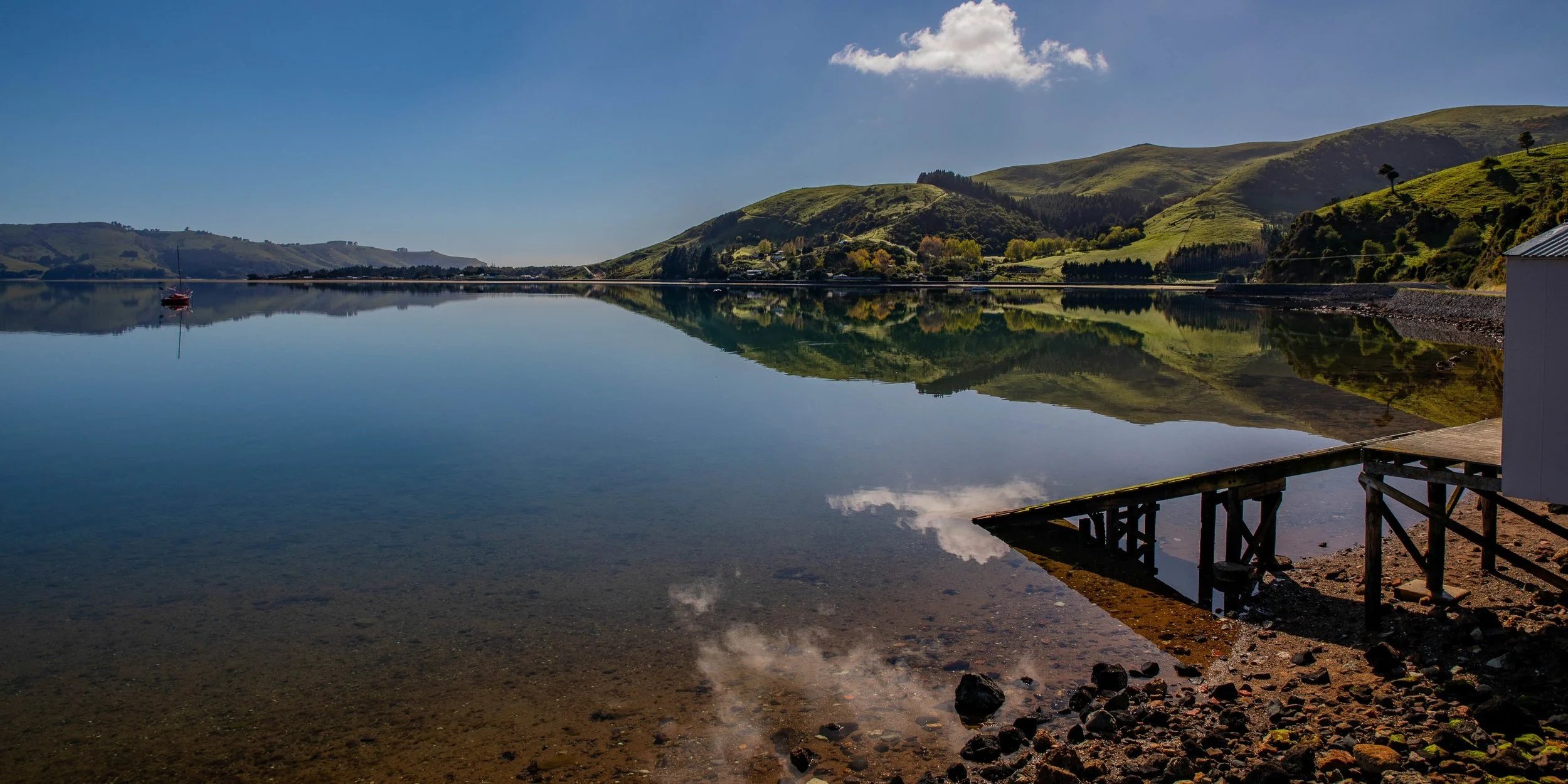Otago Harbour,-546.JPG