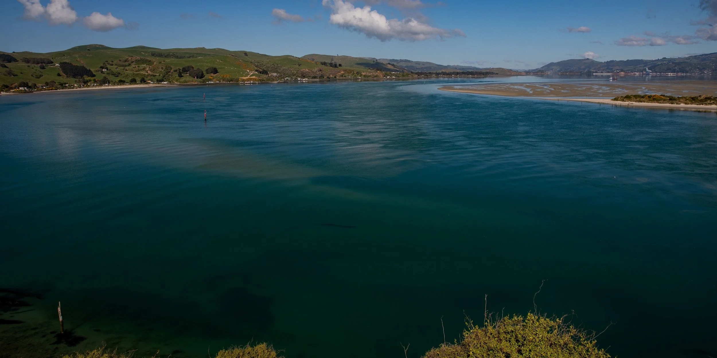 Otago Harbour,-549.JPG