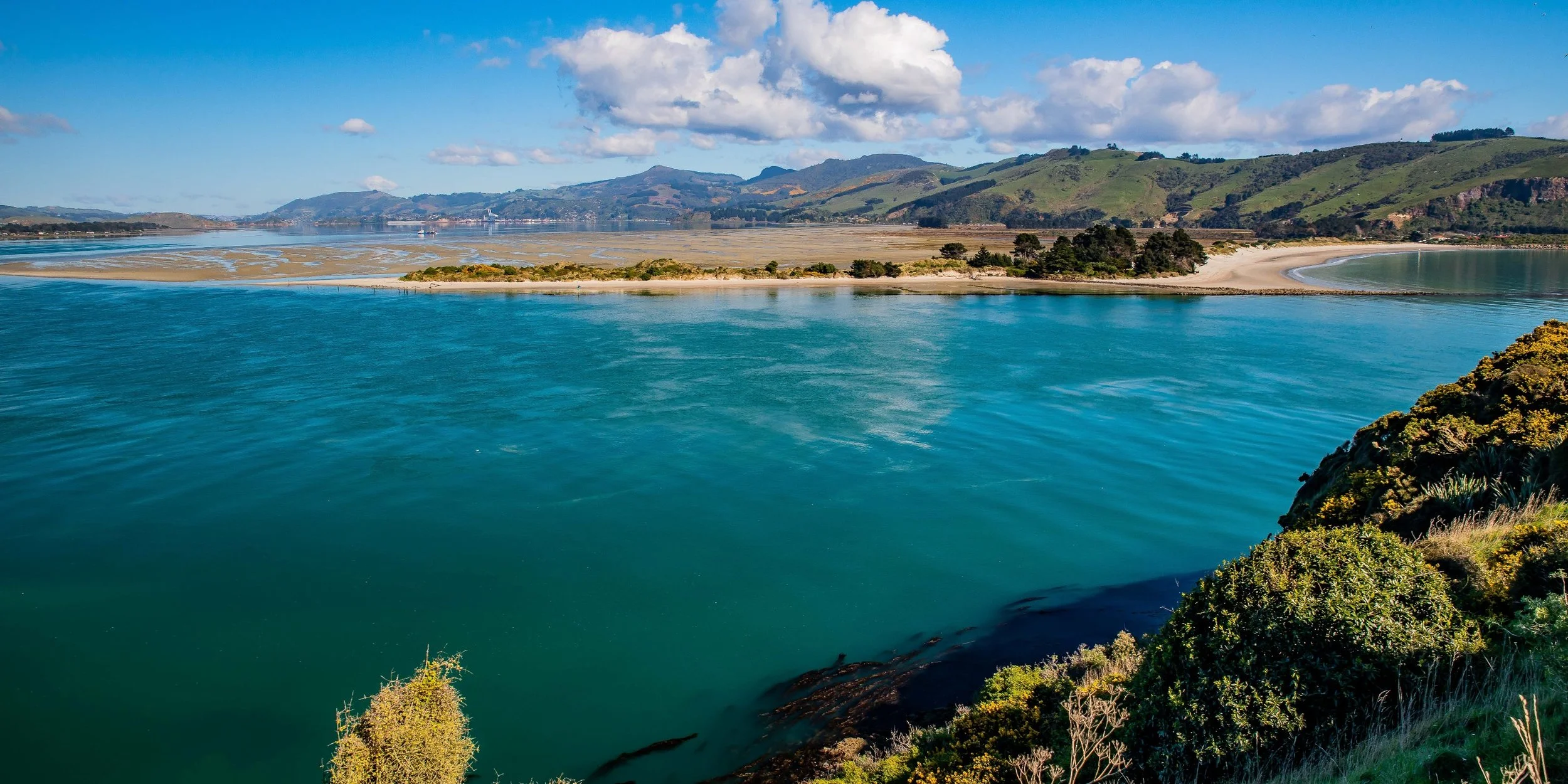 Otago Harbour,Aramoana,-551.JPG