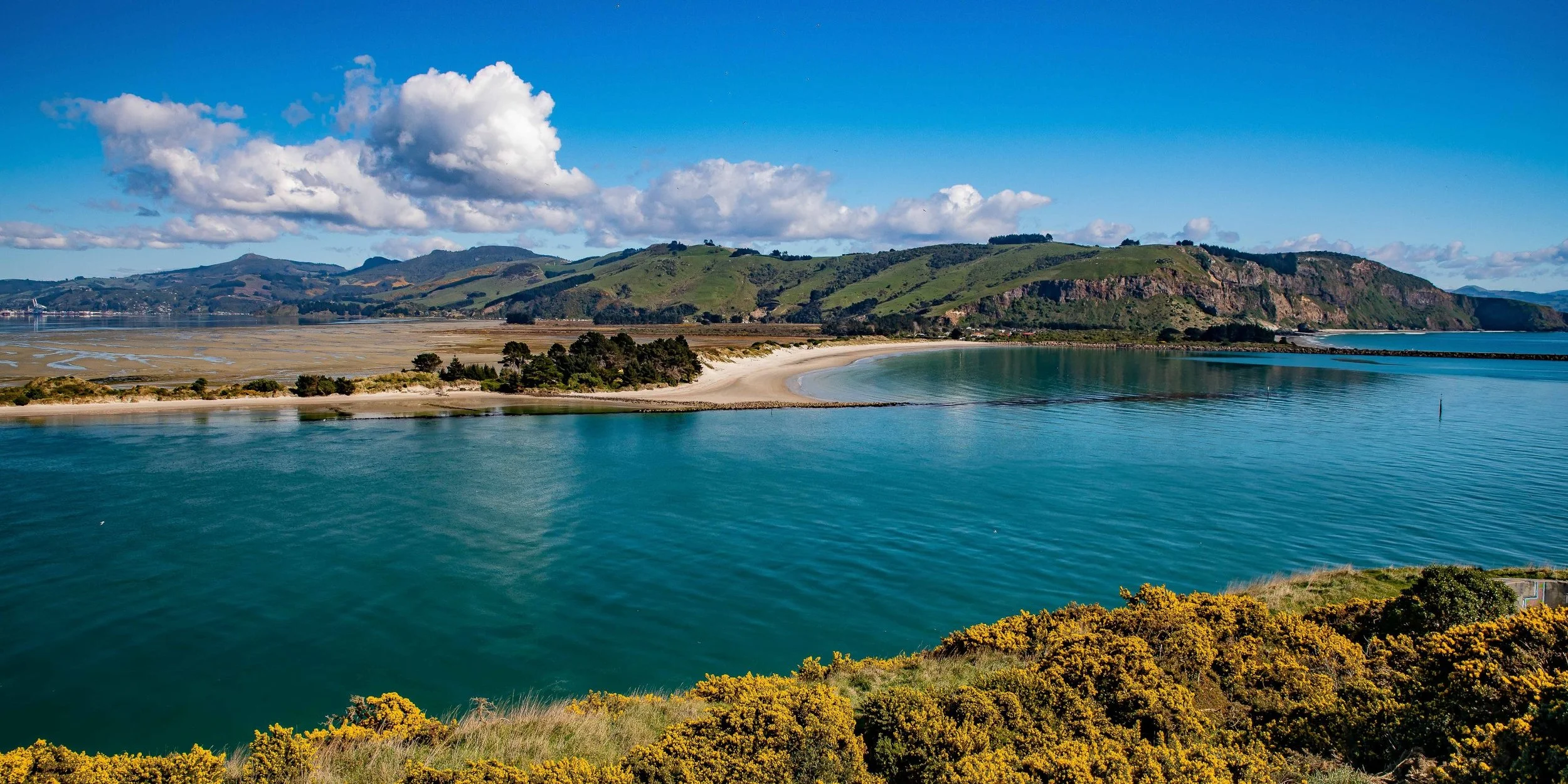 Otago Harbour,Aramoana,-553.JPG