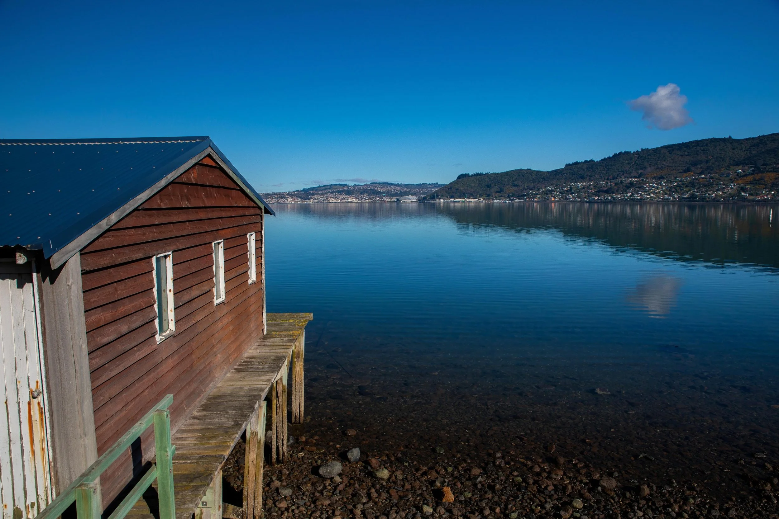 Otago Harbour,Dunedin City,-526.JPG