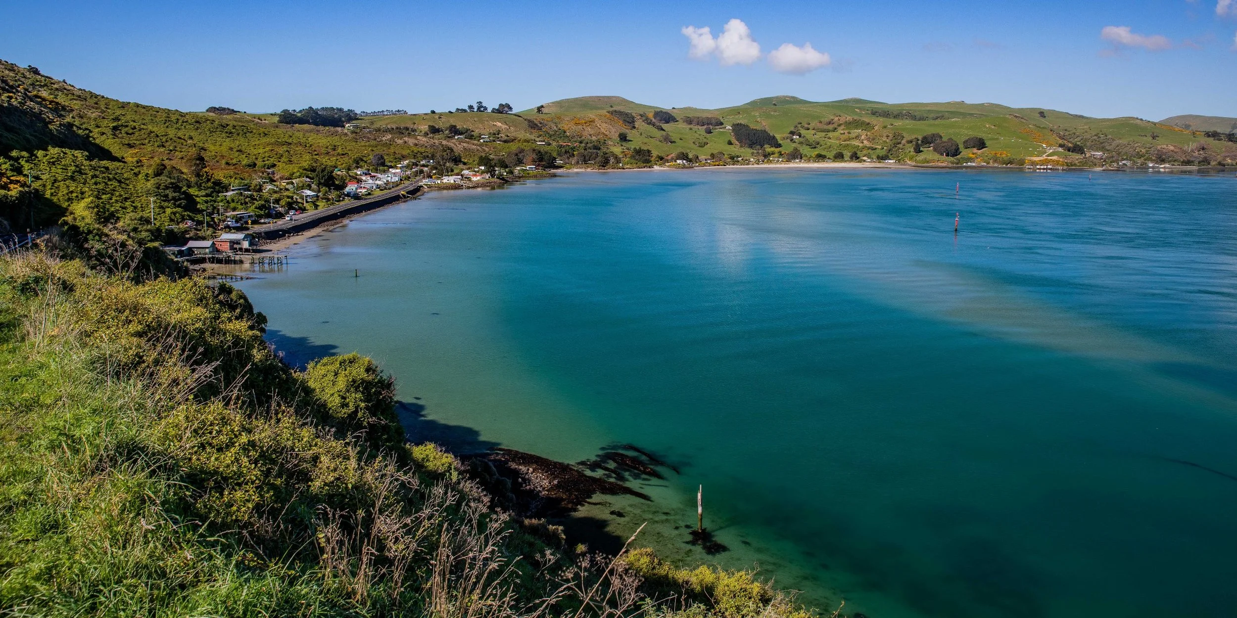 Otago Harbour,Otago Peninsula,-550.JPG