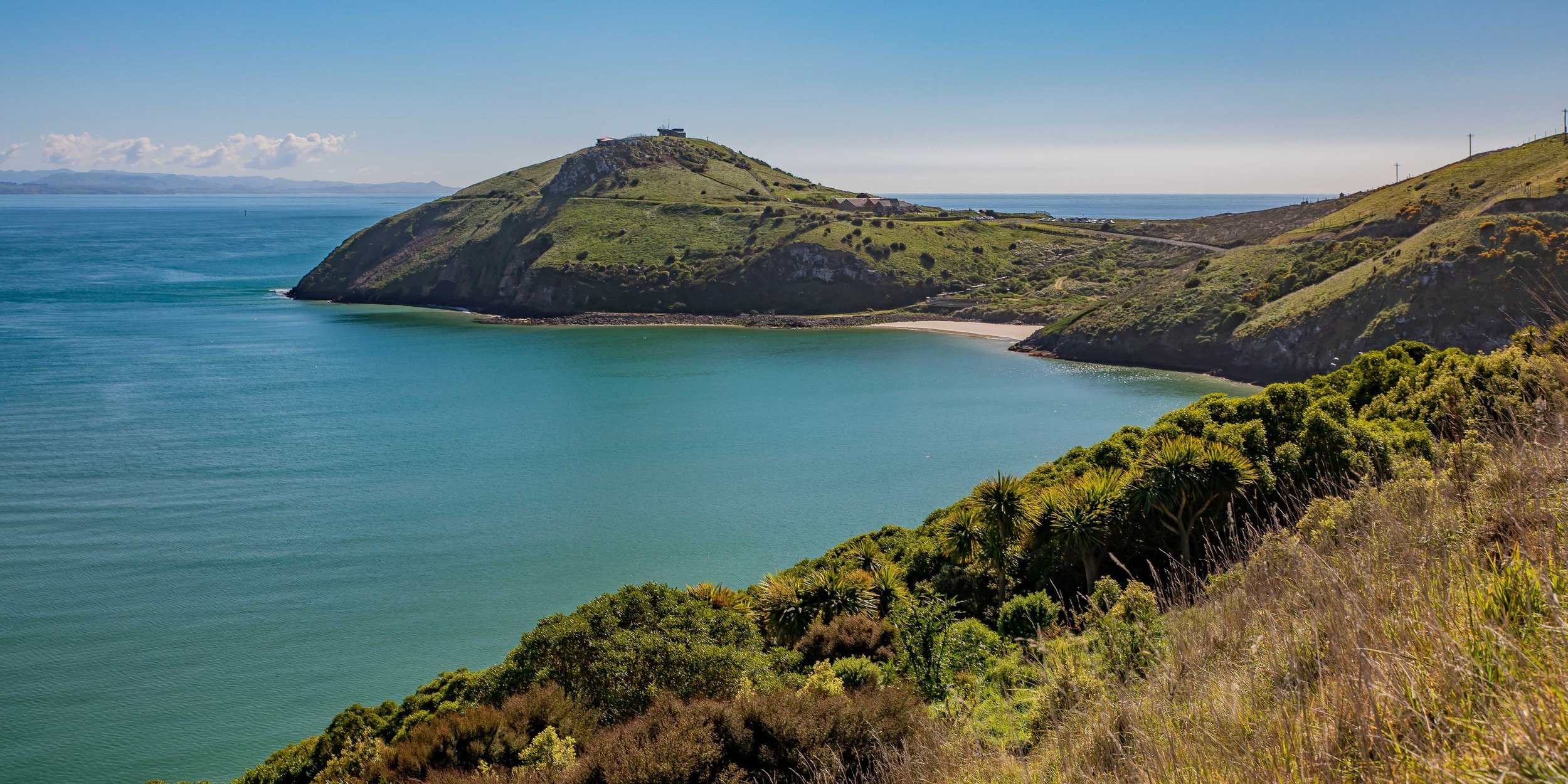 Otago Harbour,Taiaroa Head,-565.JPG
