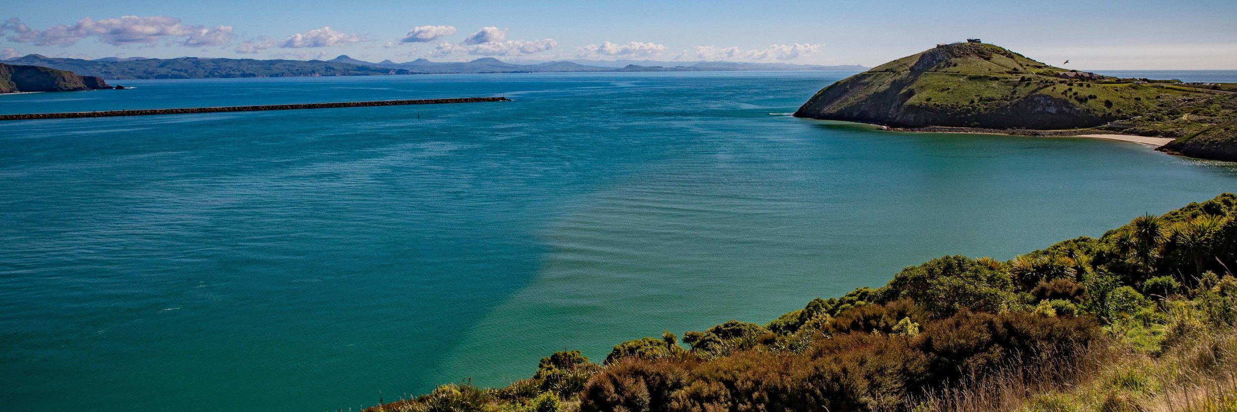 Otago Harbour,Taiaroa Head,-566.JPG