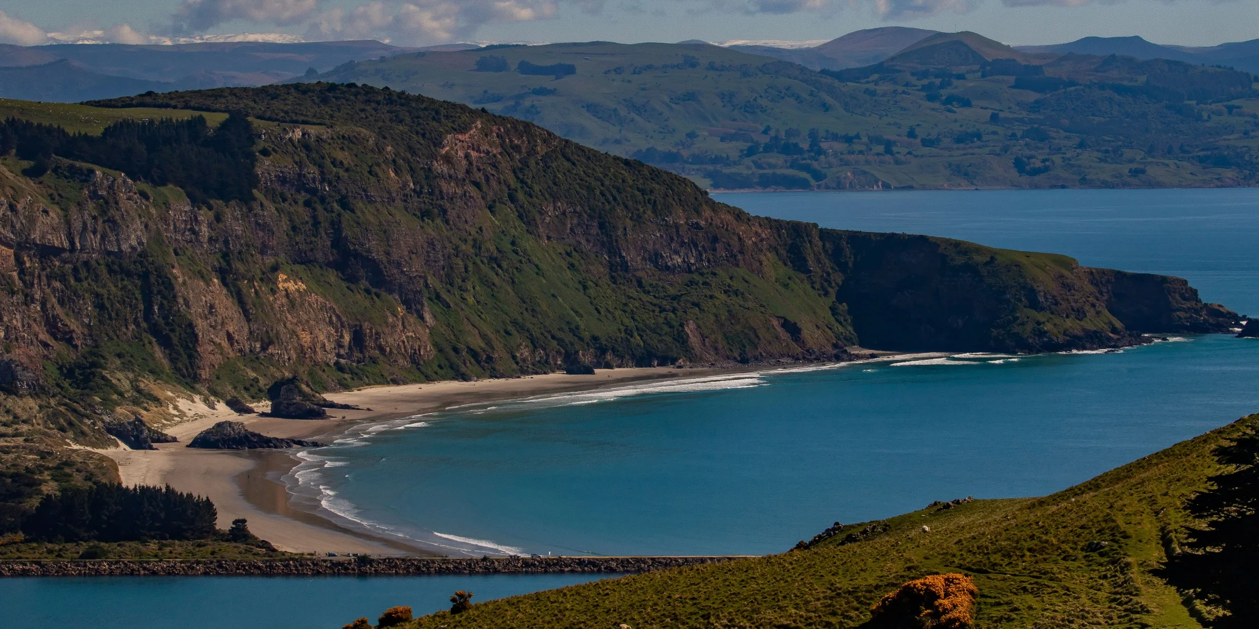 Otago Peninsula,Aramoana,-1677.JPG