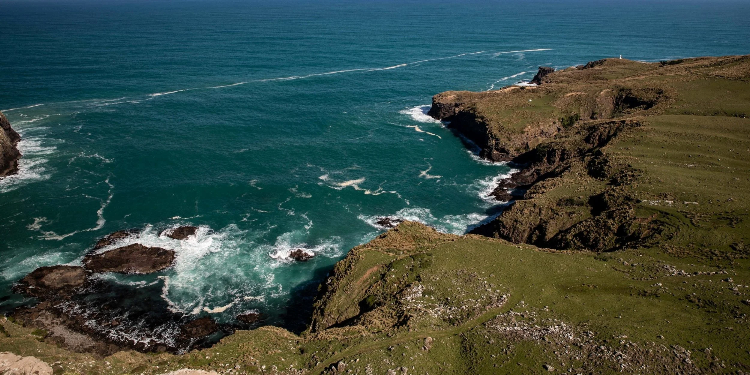 Otago Peninsula,Cape Saunders,Matakitaki Pt,-599.JPG