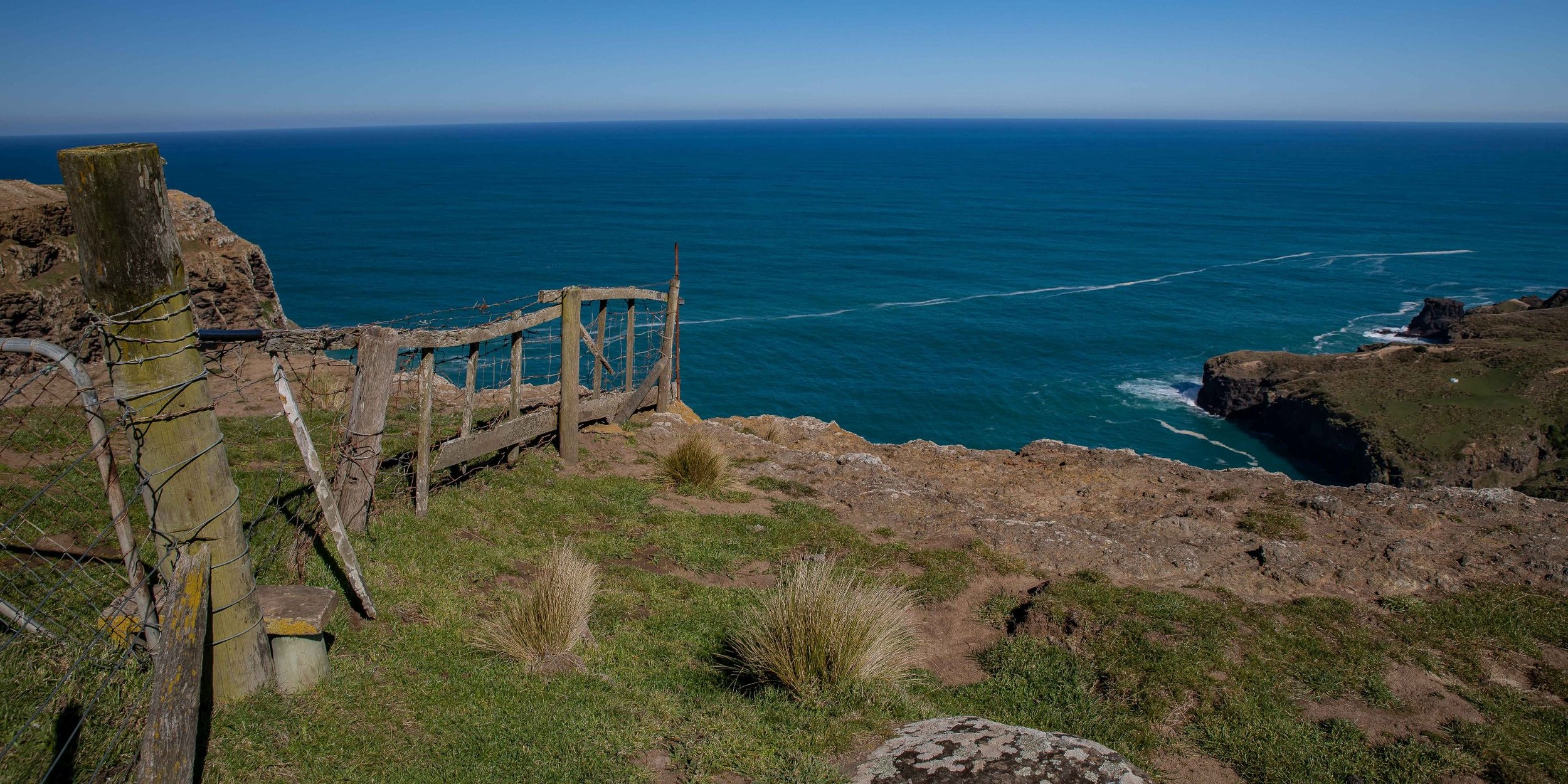 Otago Peninsula,Cape Saunders,Matakitaki Pt,-602.JPG