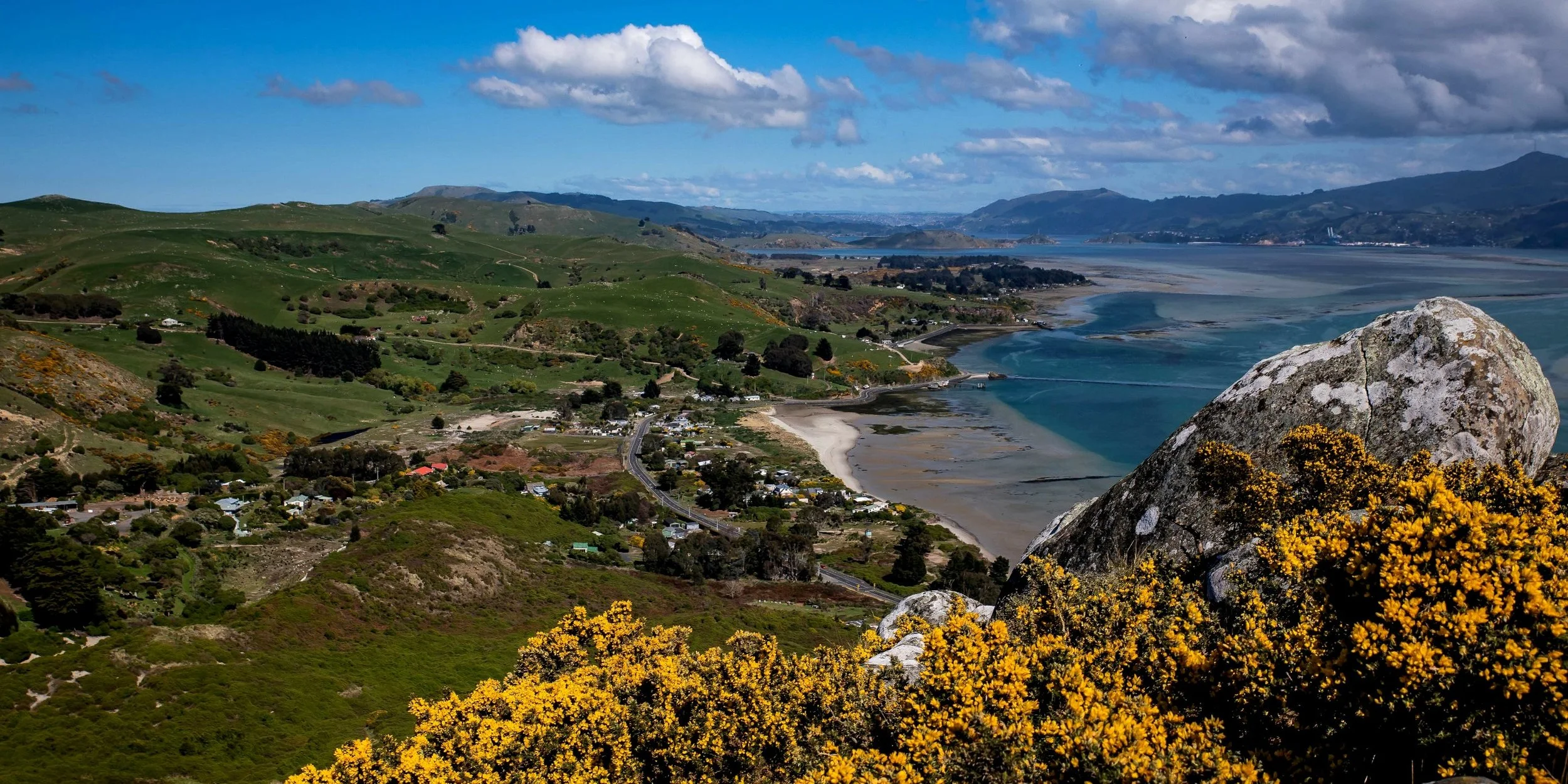 Otago Peninsula,Otago Harbour,-572.JPG