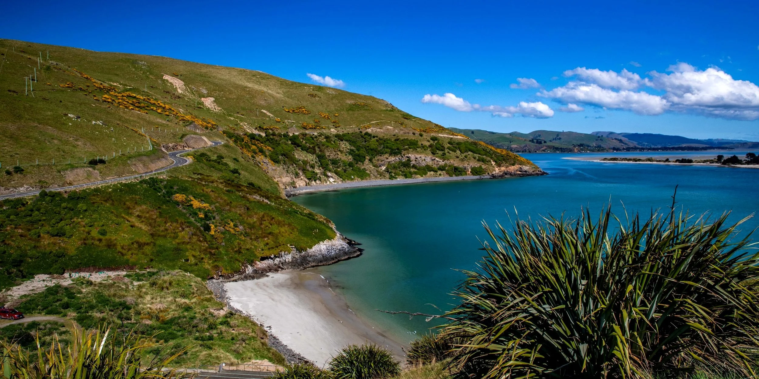 Otago Peninsula,Otago Harbour,-588.JPG