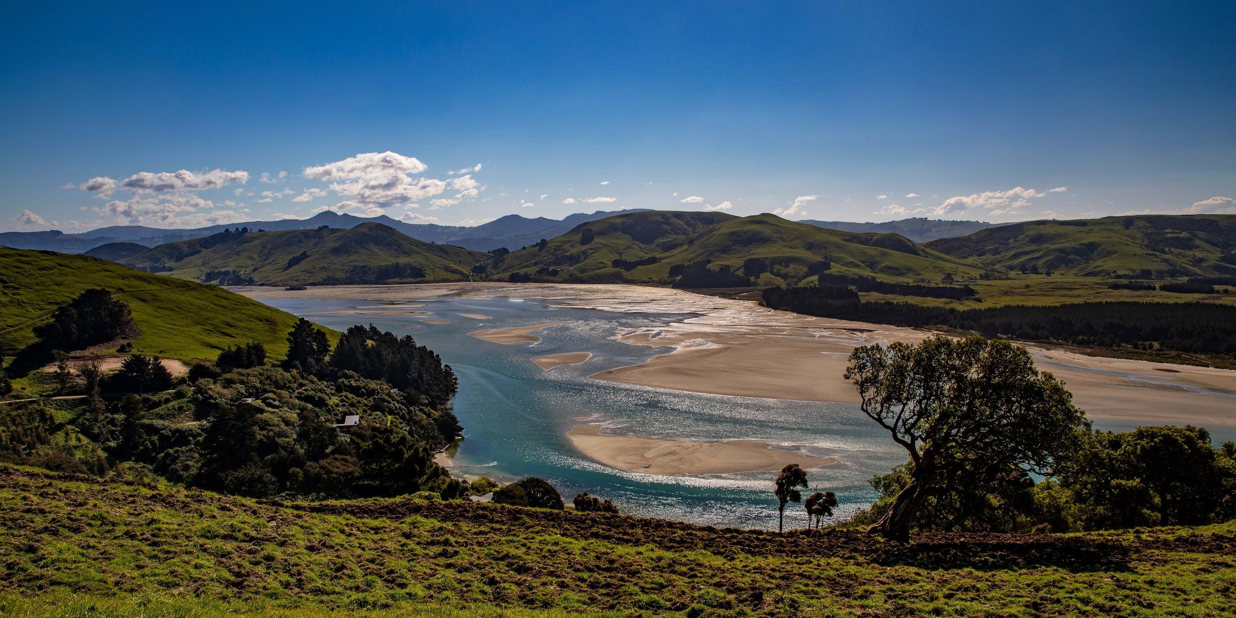 Otago Peninsula,Papanui Inlet,-610.JPG
