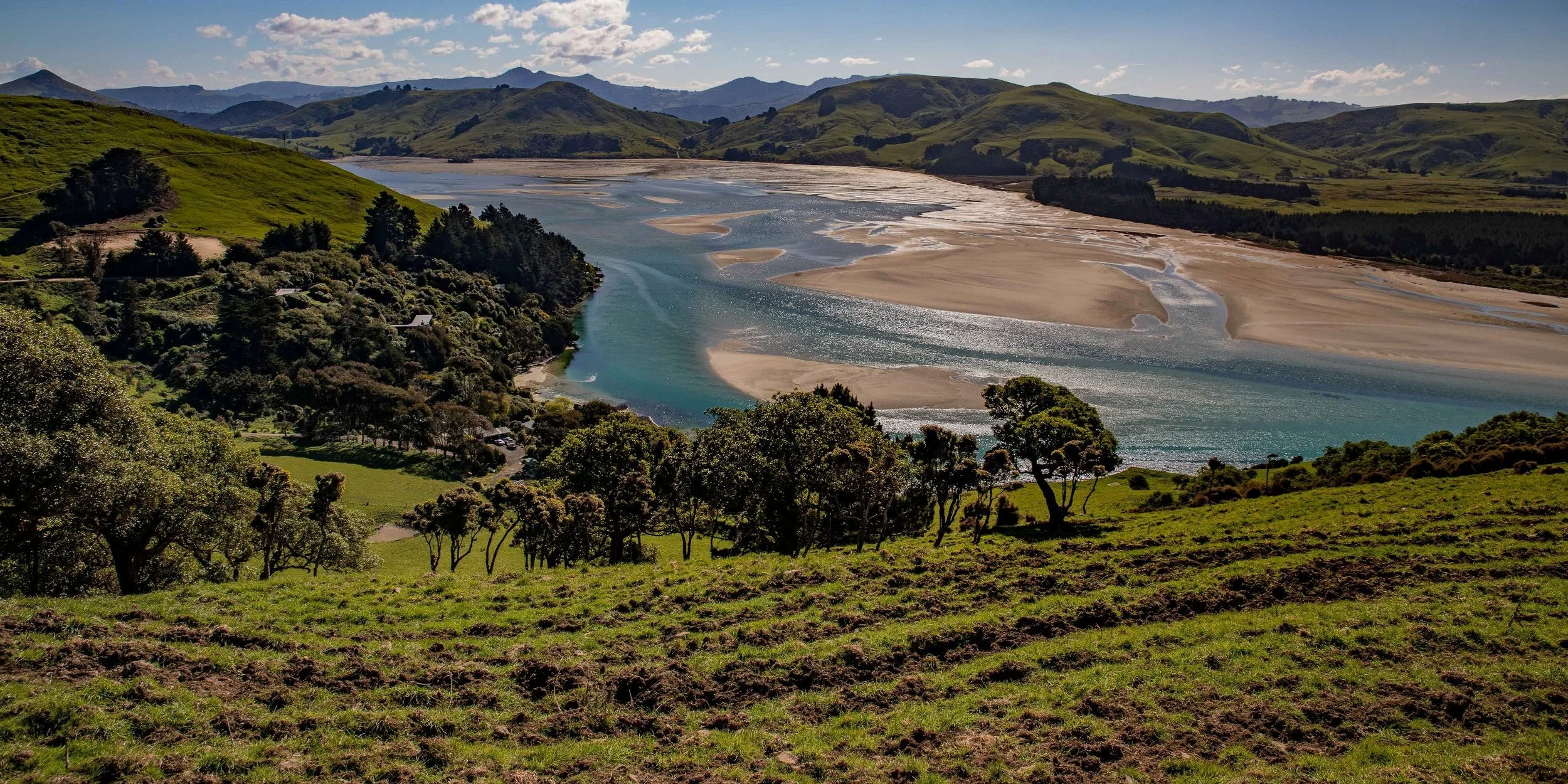 Otago Peninsula,Papanui Inlet,-612.JPG