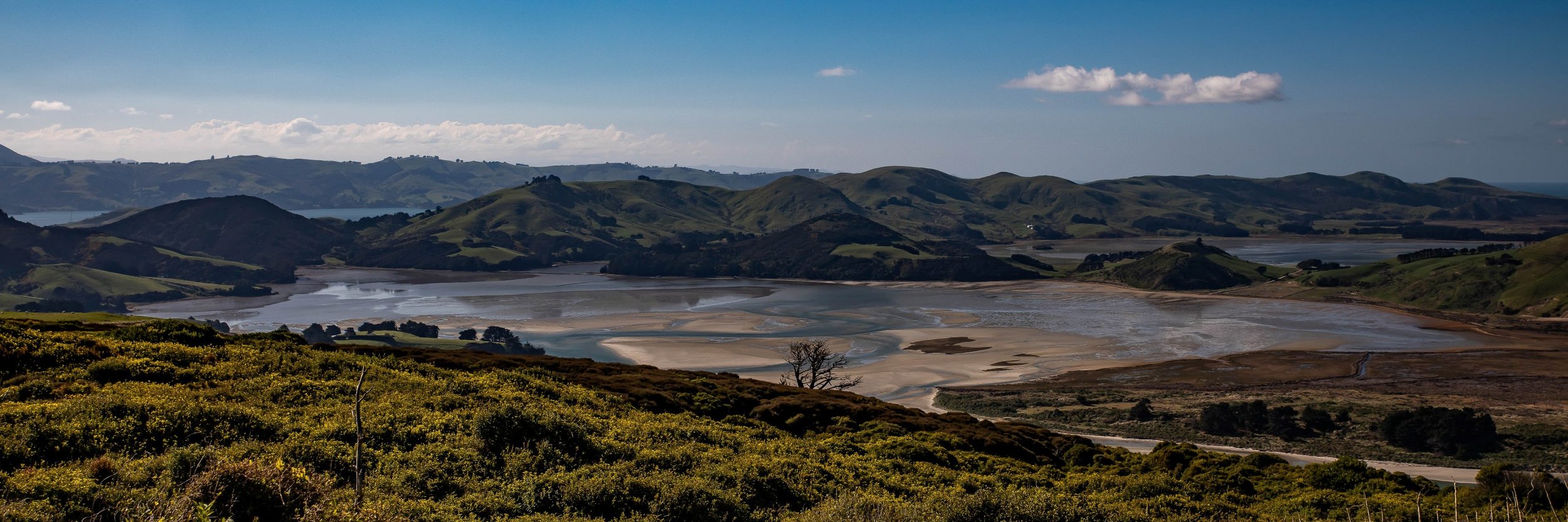 Otago Peninsula,Papanui Inlet,-617.JPG