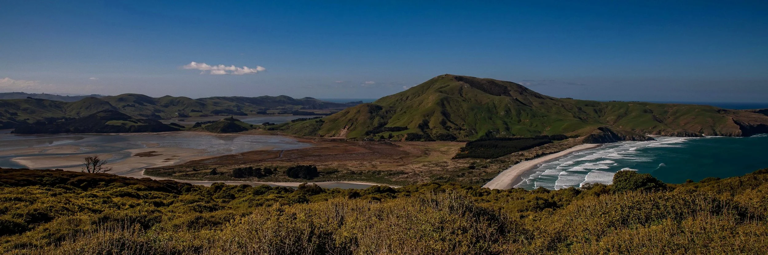 Otago Peninsula,Papanui Inlet,Wickliffe Bay,-614.JPG