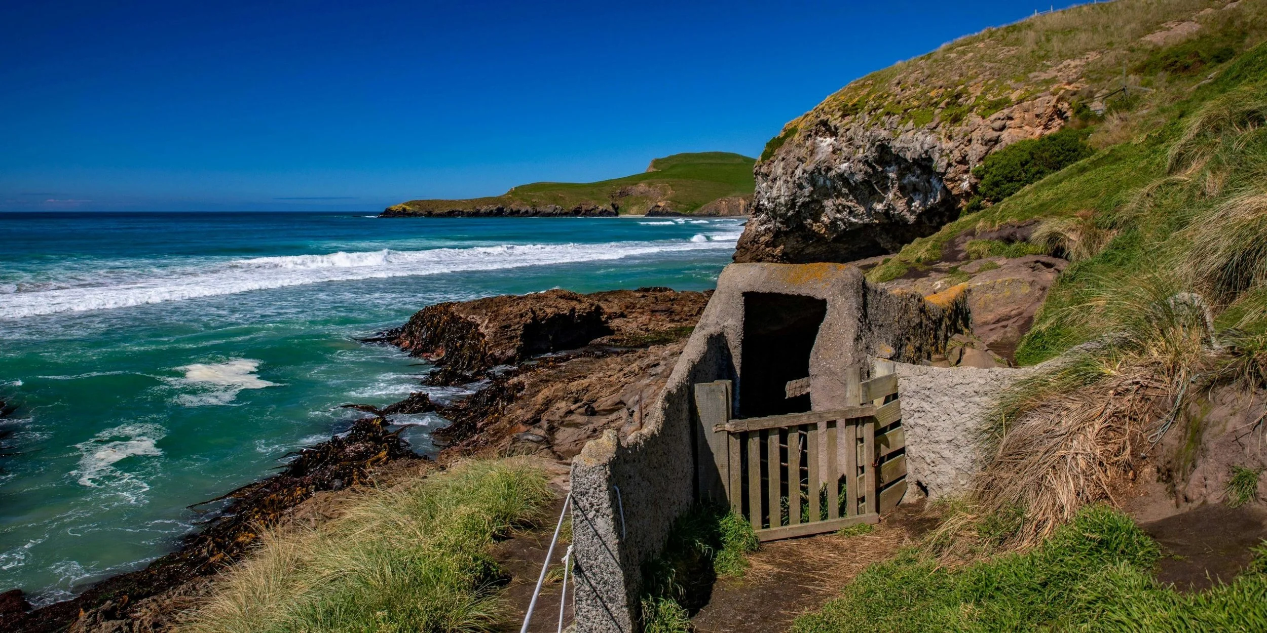 Otago Peninsula,Penguin Beach,-579.JPG