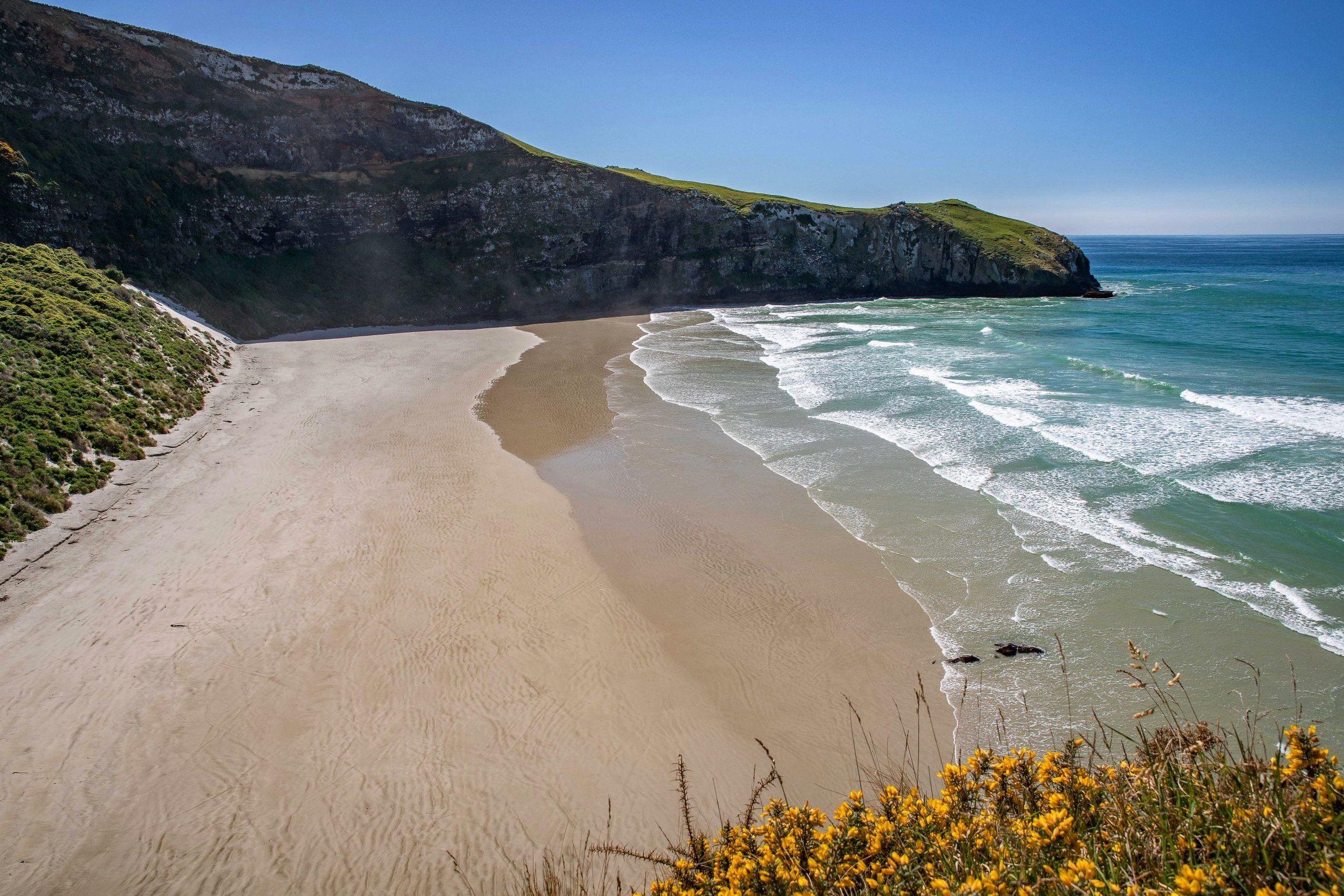 Otago Peninsula,Penguin Beach,-581.JPG
