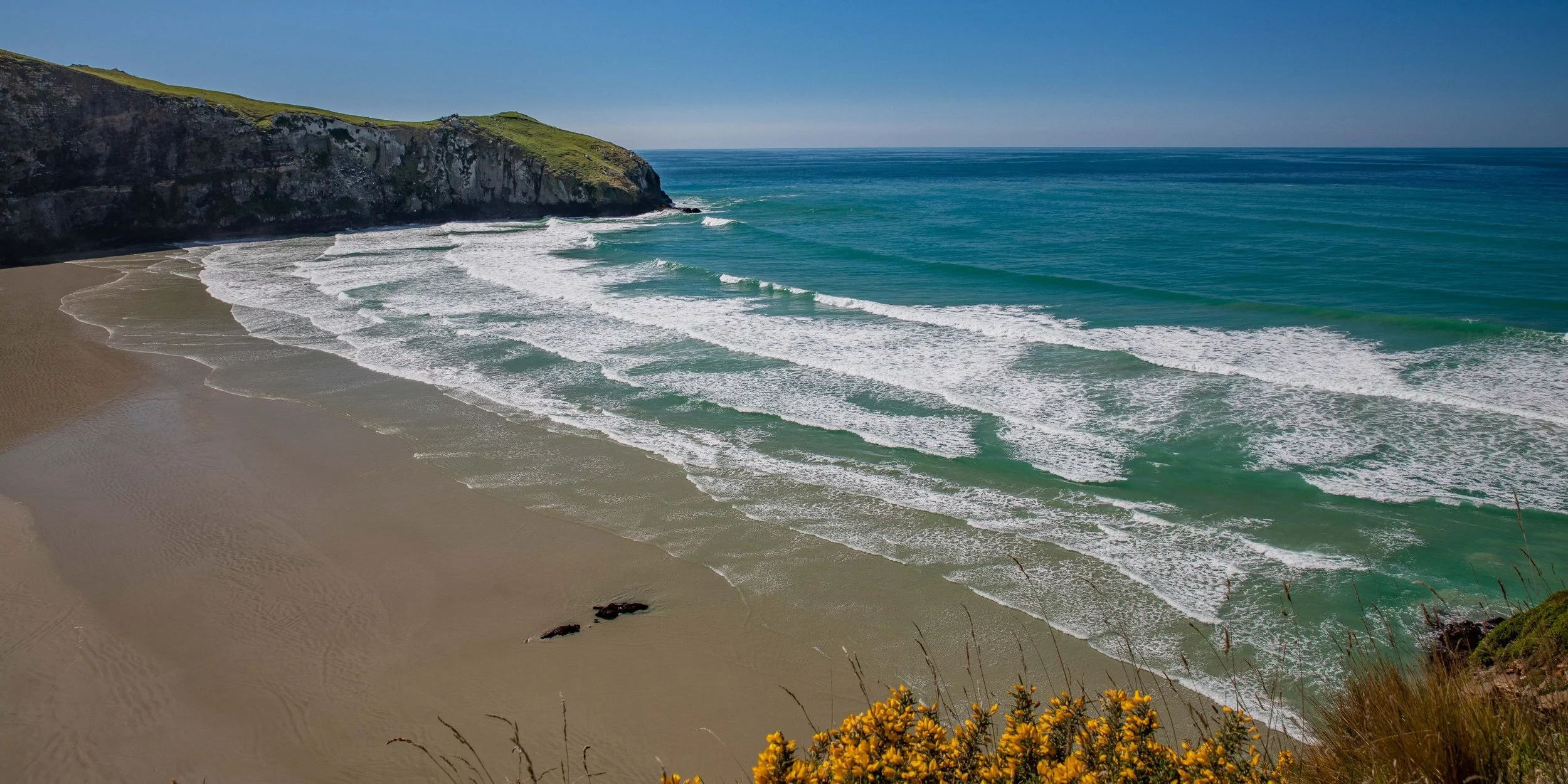 Otago Peninsula,Penguin Beach,-582.JPG