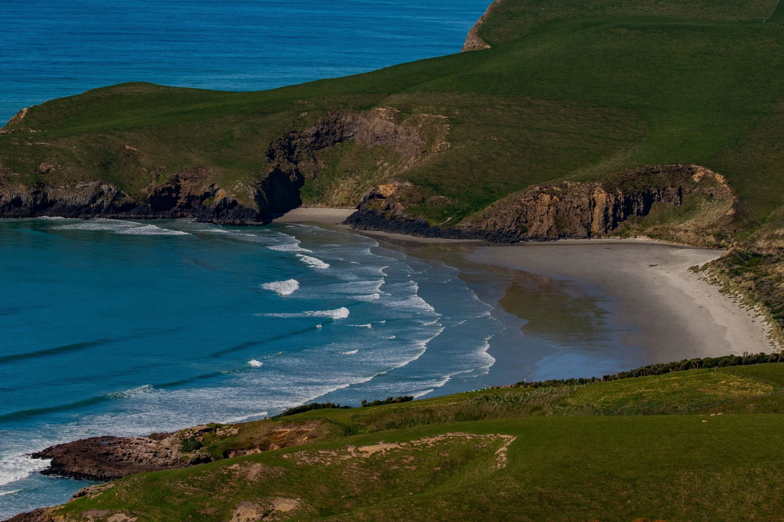 Otago Peninsula,Pipikaretu Beach,-1680.JPG