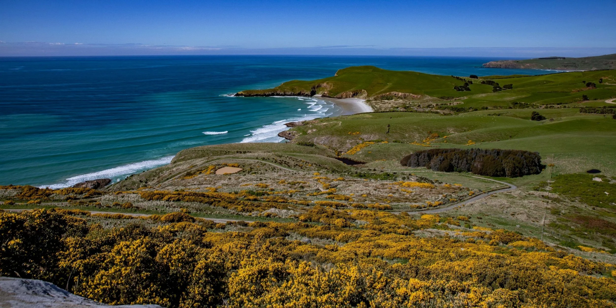Otago Peninsula,Pipikaretu Pt,-568.JPG