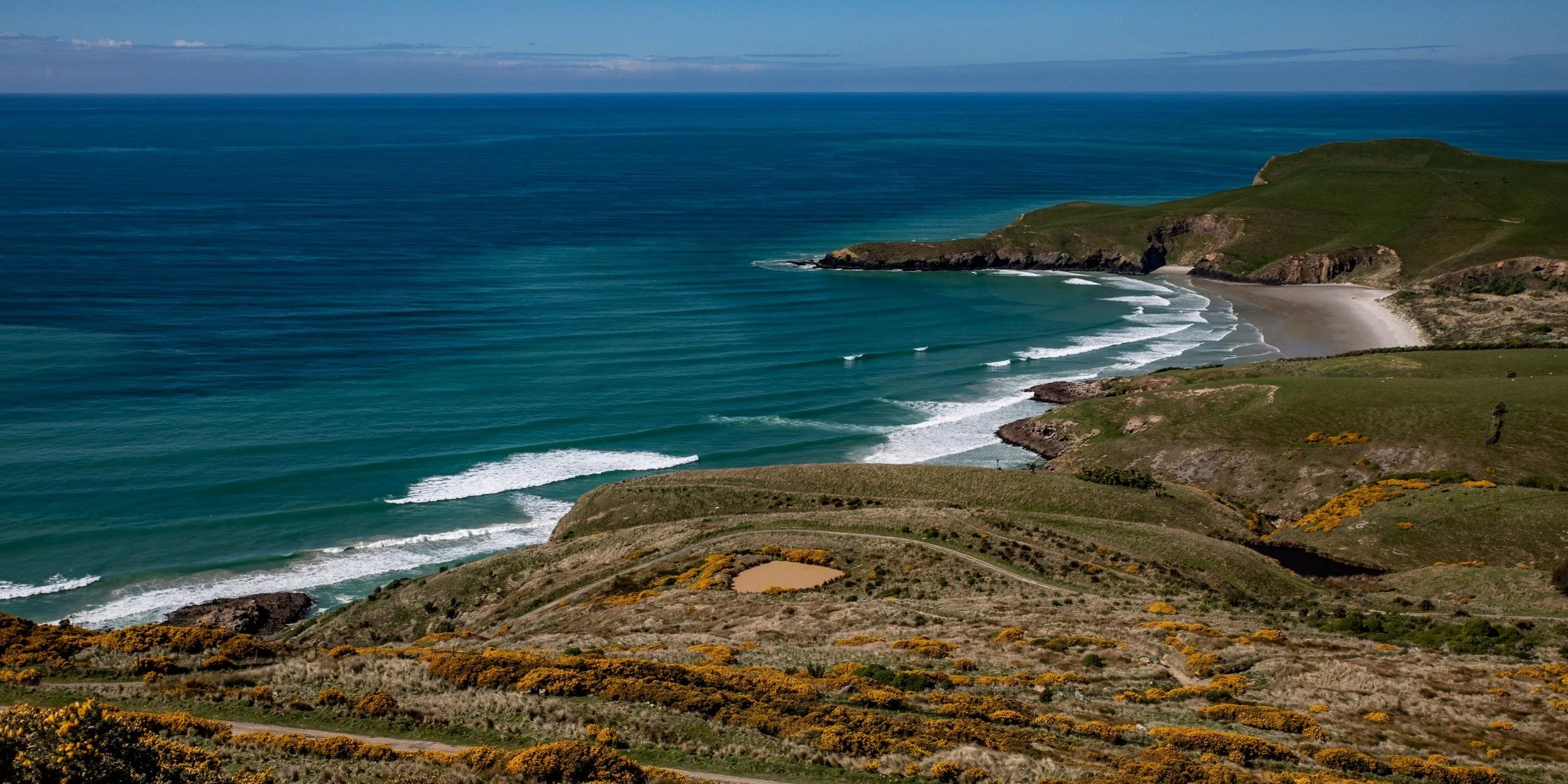 Otago Peninsula,Pipikaretu Pt,-569.JPG