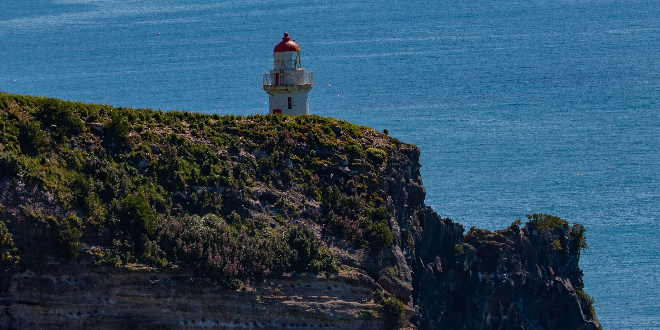 Otago Peninsula,Taiaroa Head Lighthouse,-1811.JPG