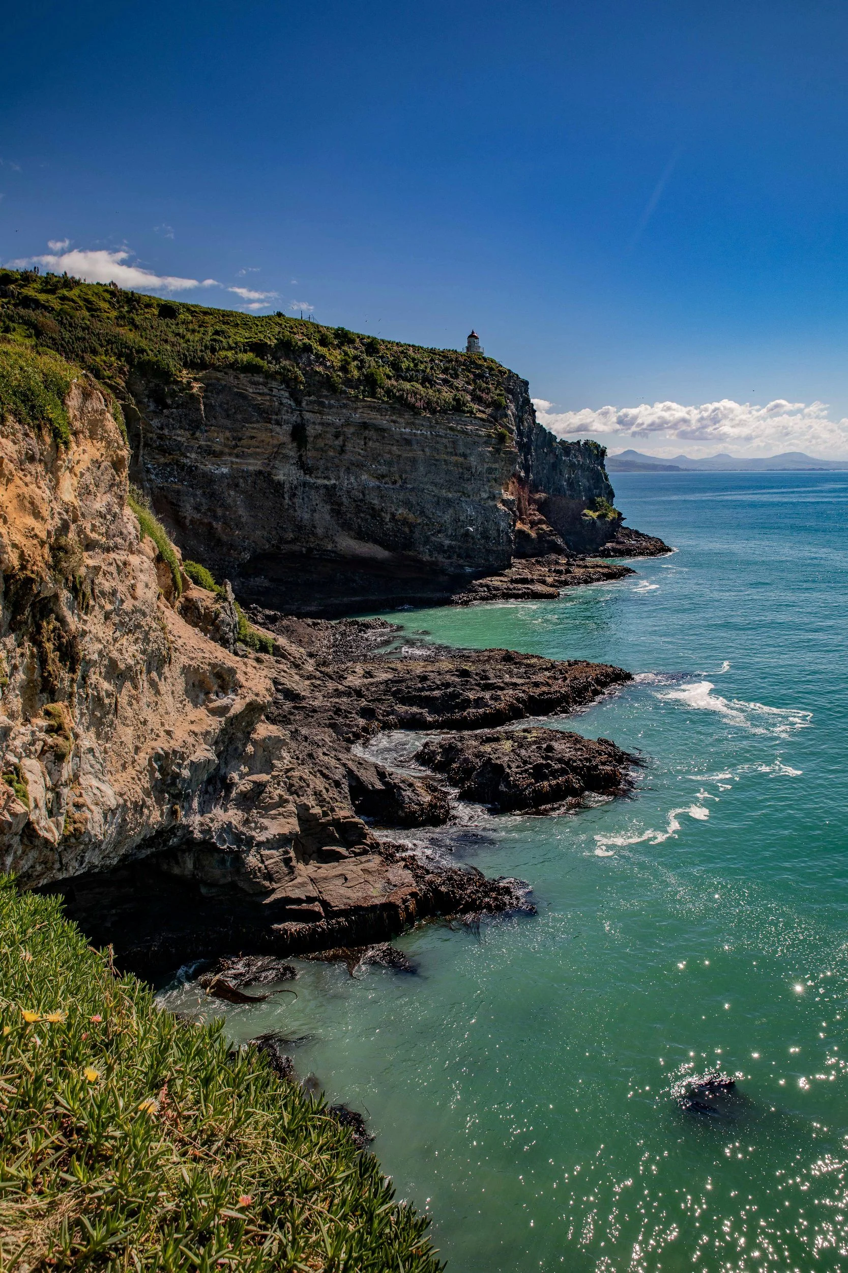 Otago Peninsula,Taiaroa Head,-584.JPG