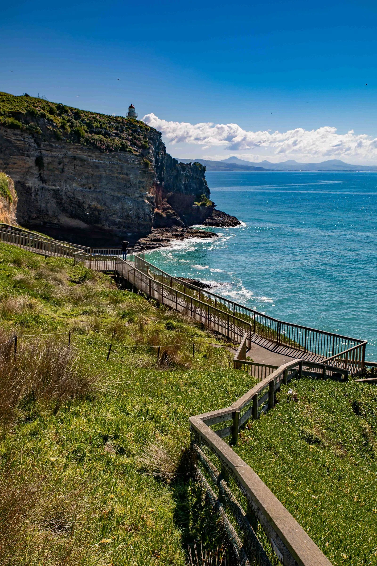 Otago Peninsula,Taiaroa Head,-587.JPG