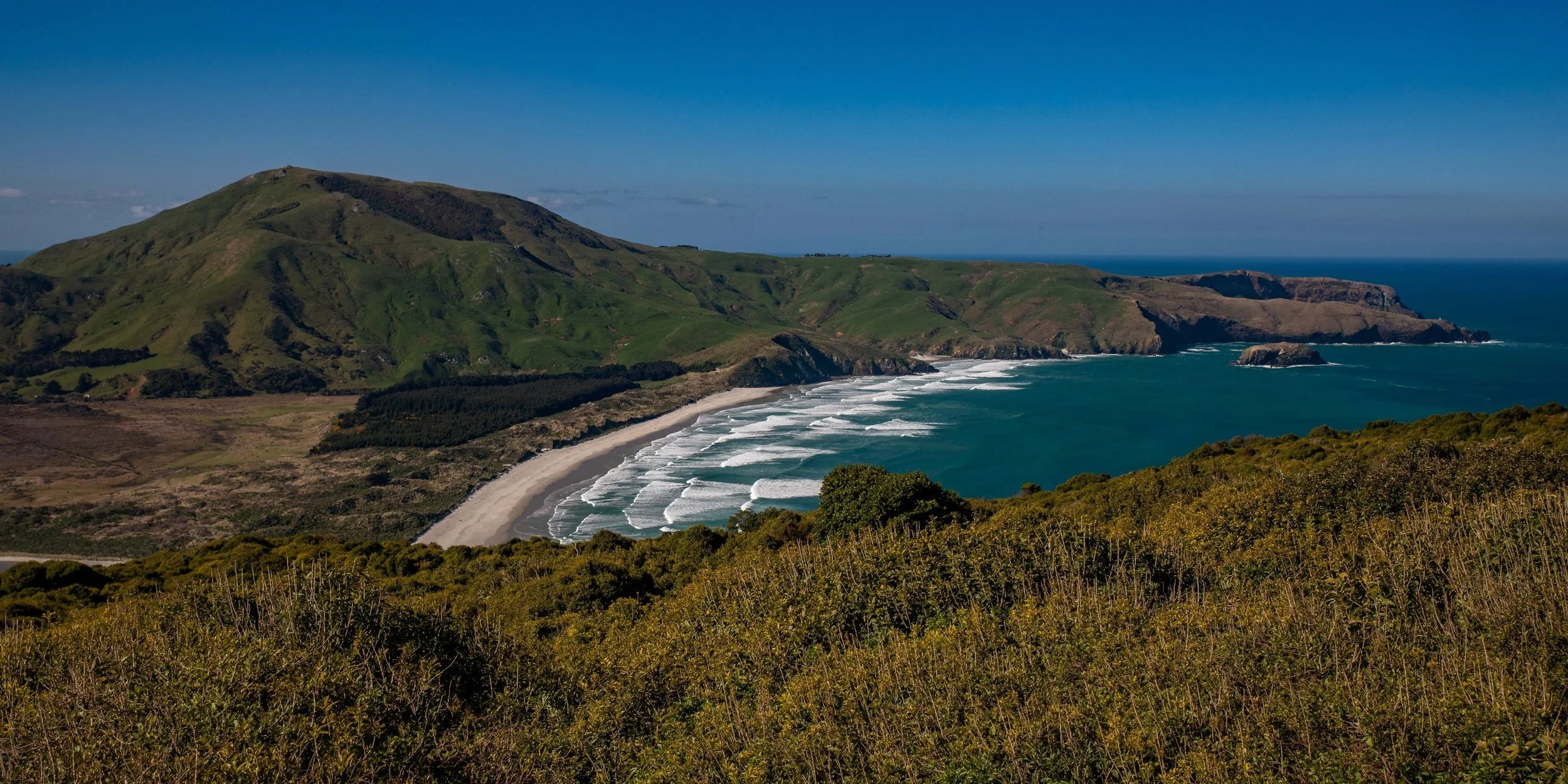 Otago Peninsula,Wickliffe Bay,-613.JPG