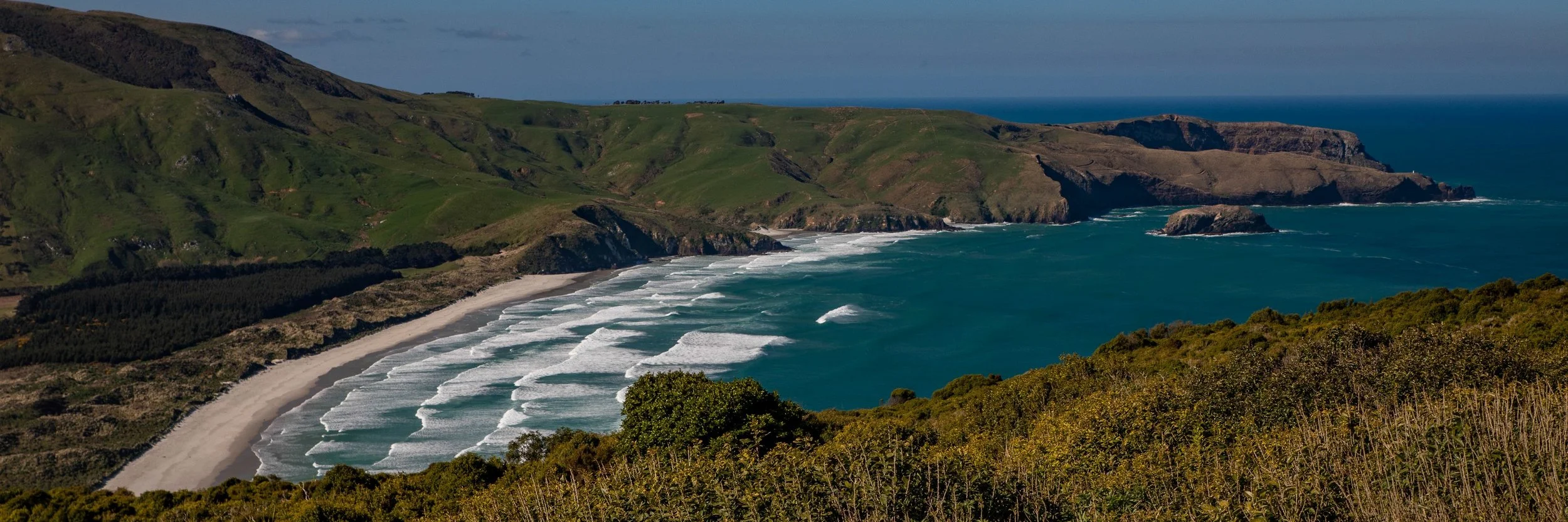 Otago Peninsula,Wickliffe Bay,-616.JPG