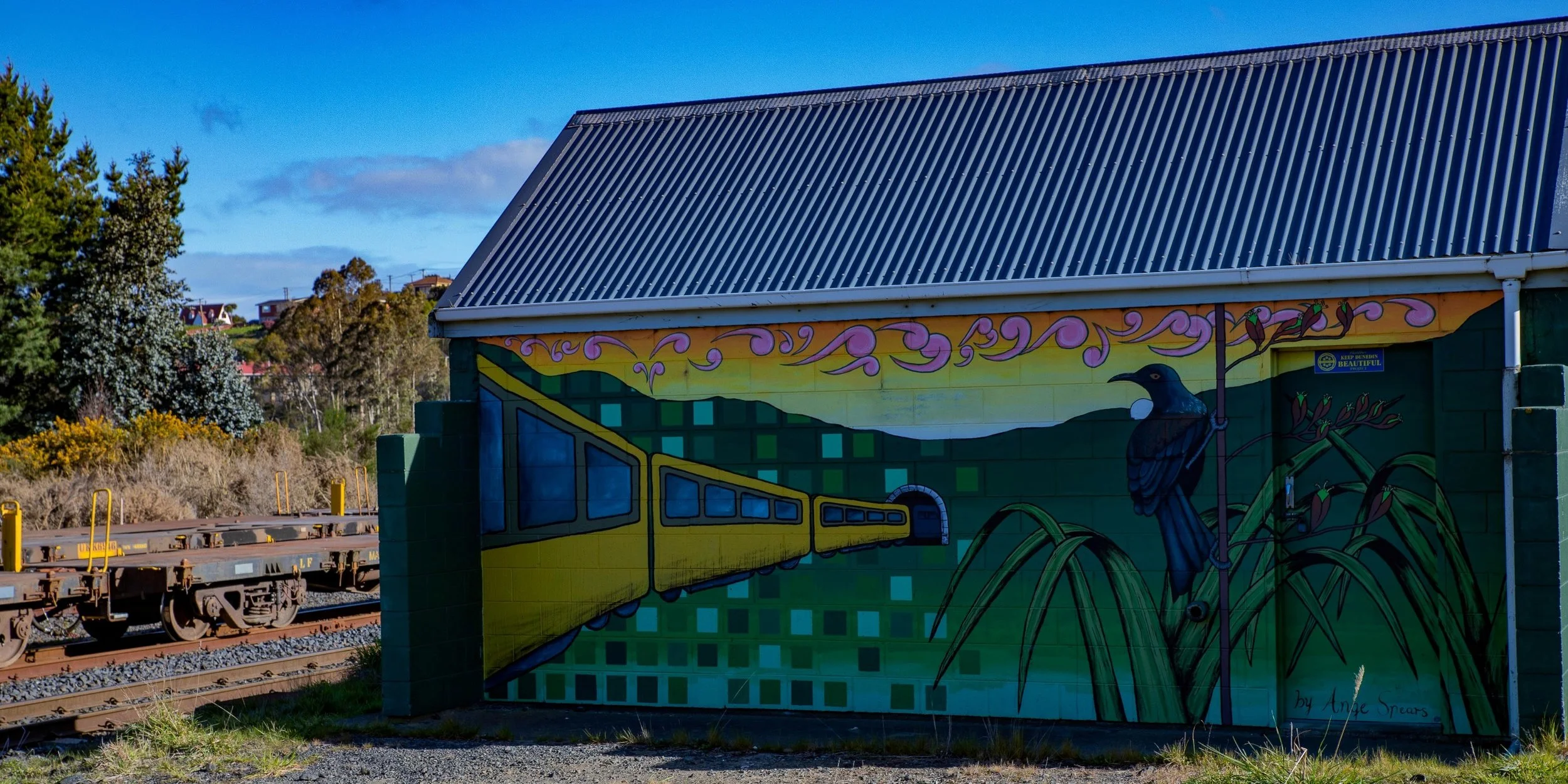 Port Chalmers Road,-196.JPG