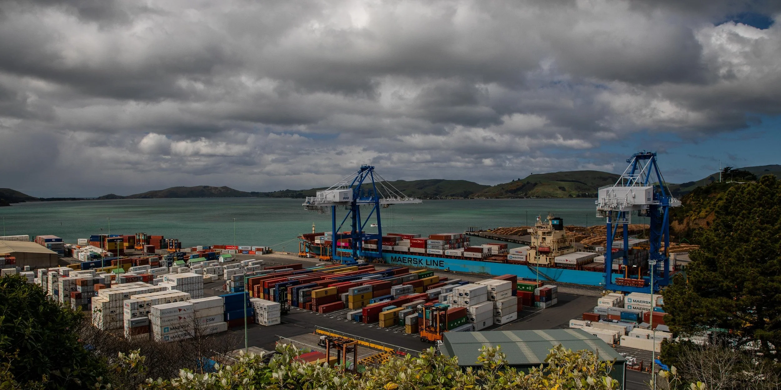 Port Chalmers,-164.JPG