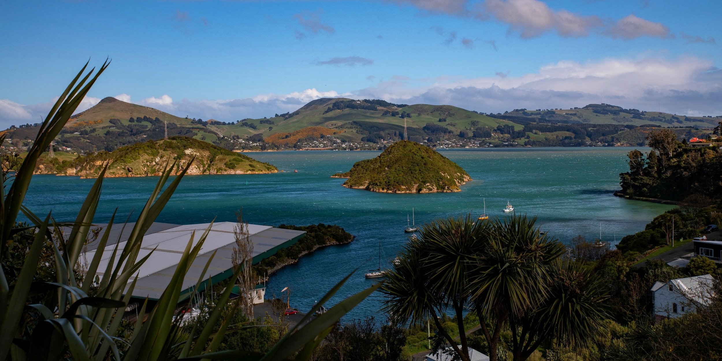 Port Chalmers,-178.JPG