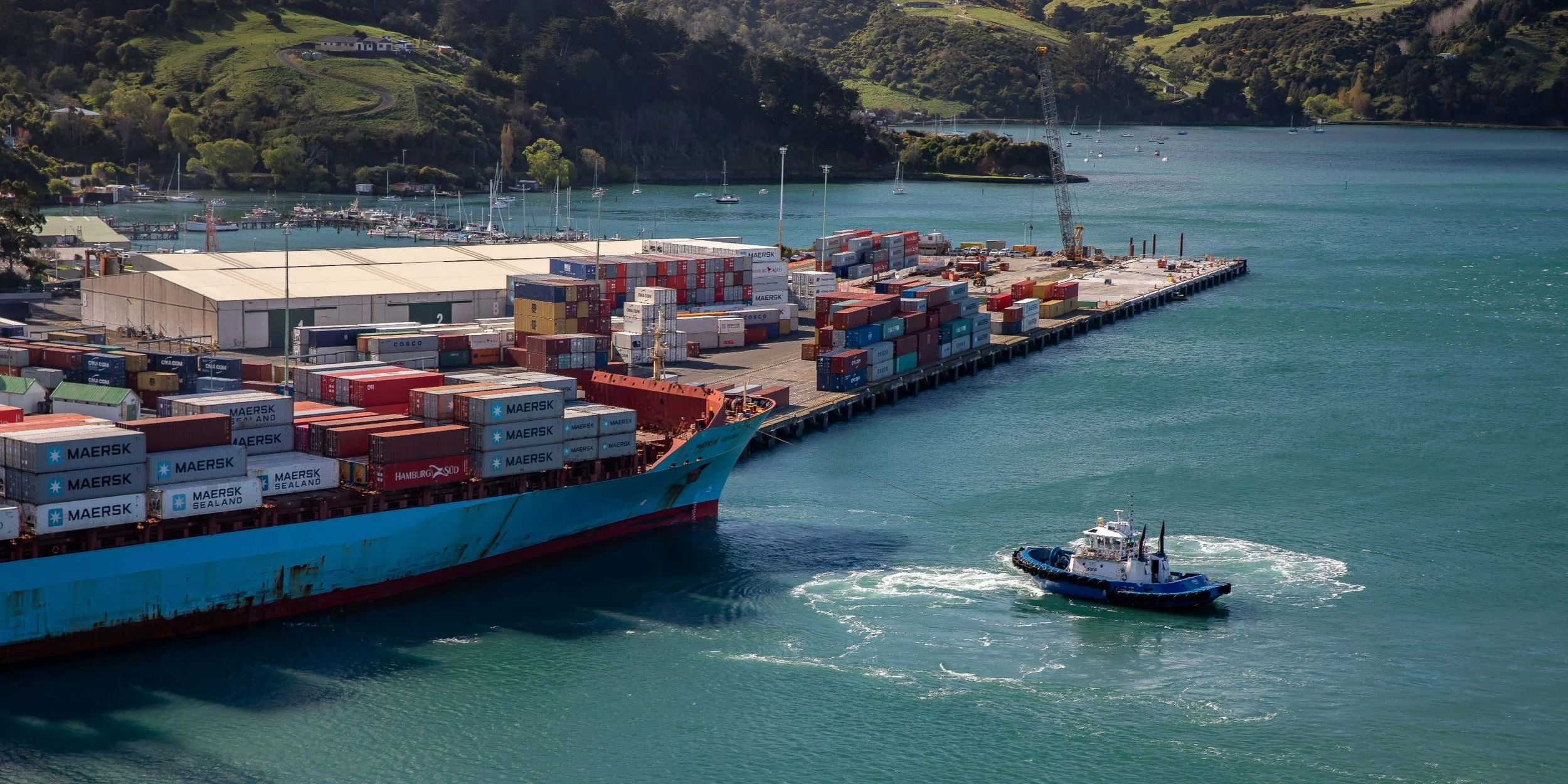 Port Chalmers,-182.JPG