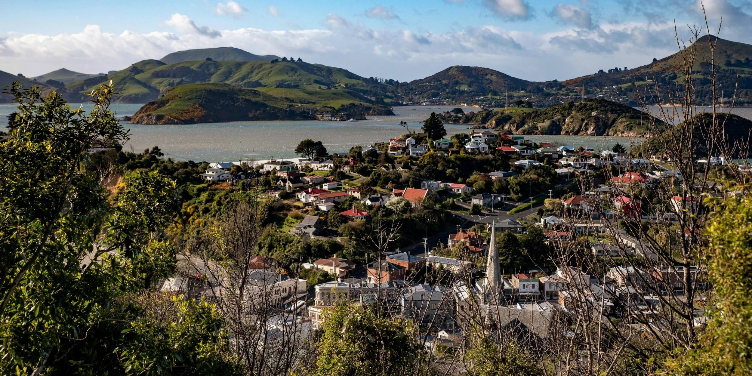 Port Chalmers,-198.JPG