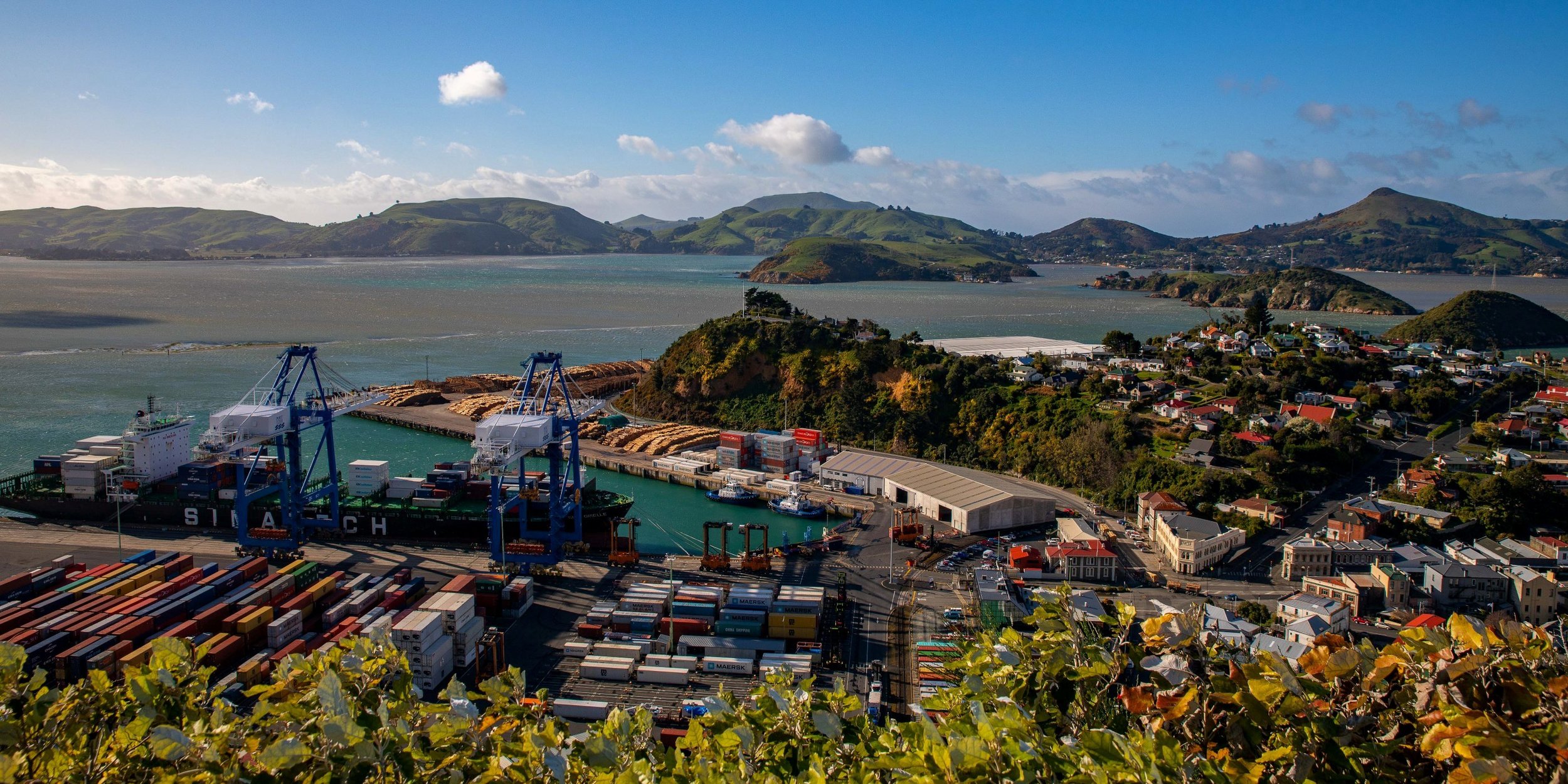 Port Chalmers,-204.JPG