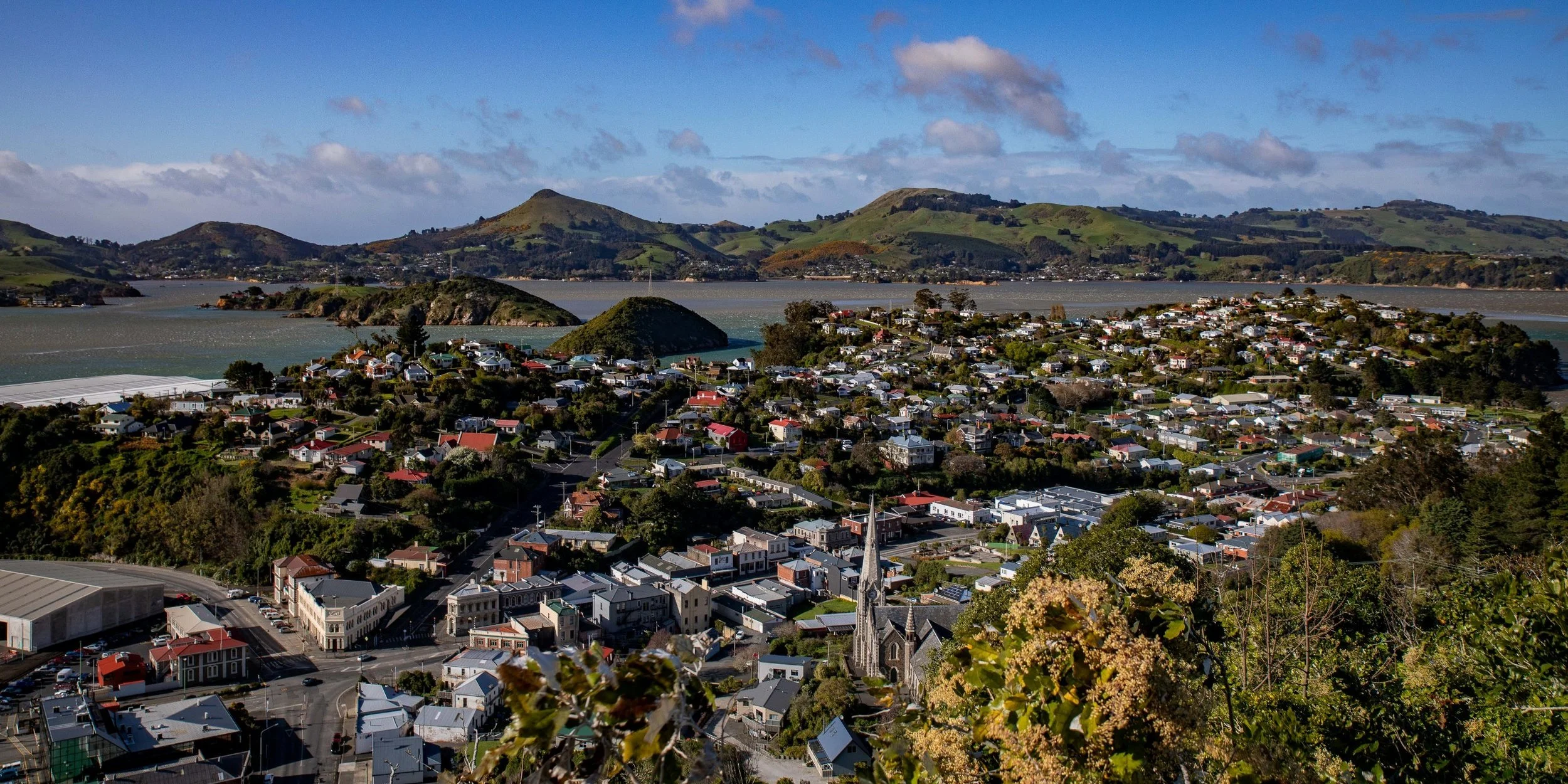 Port Chalmers,-205.JPG