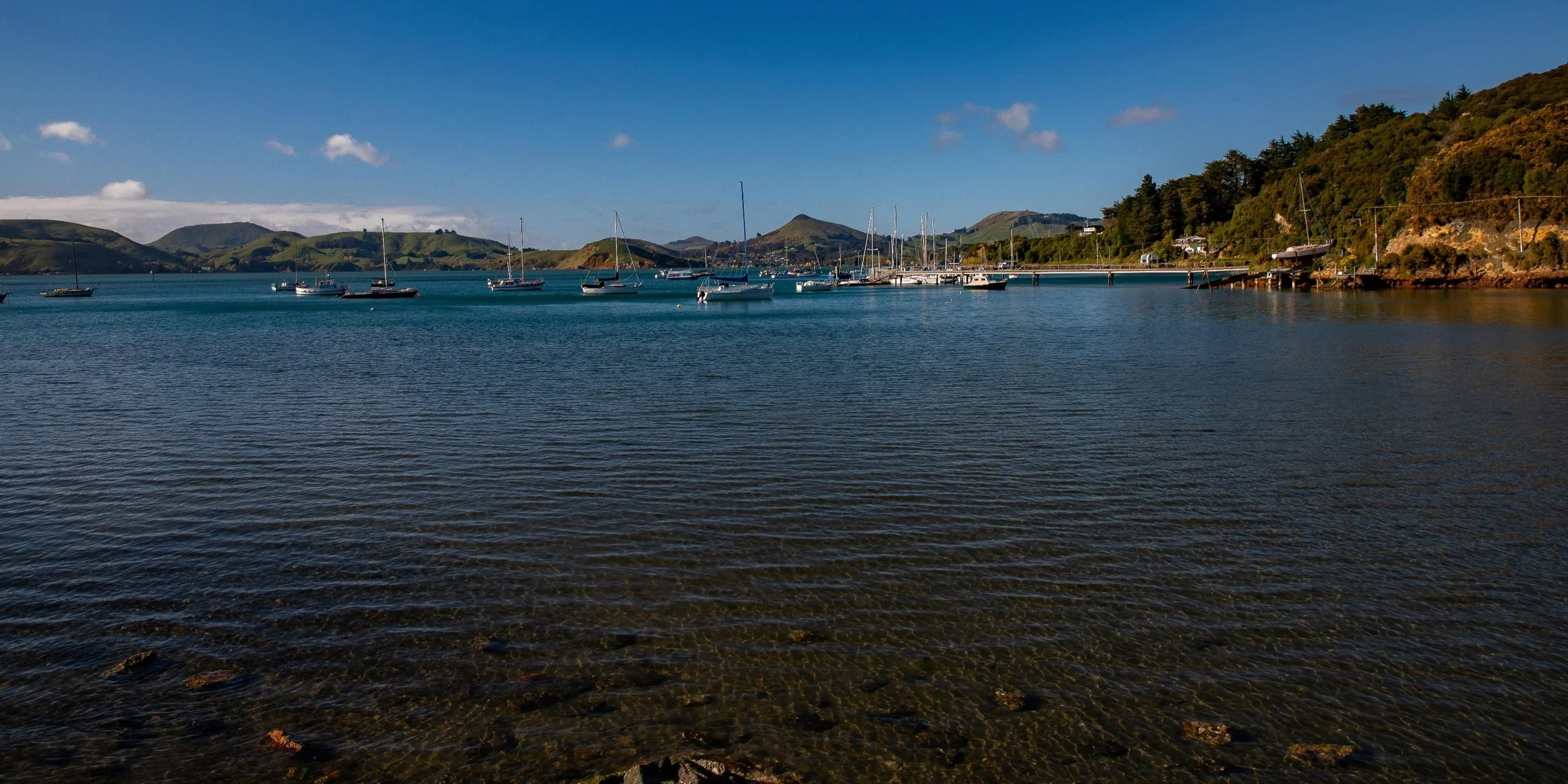 Port Chalmers,-388.JPG