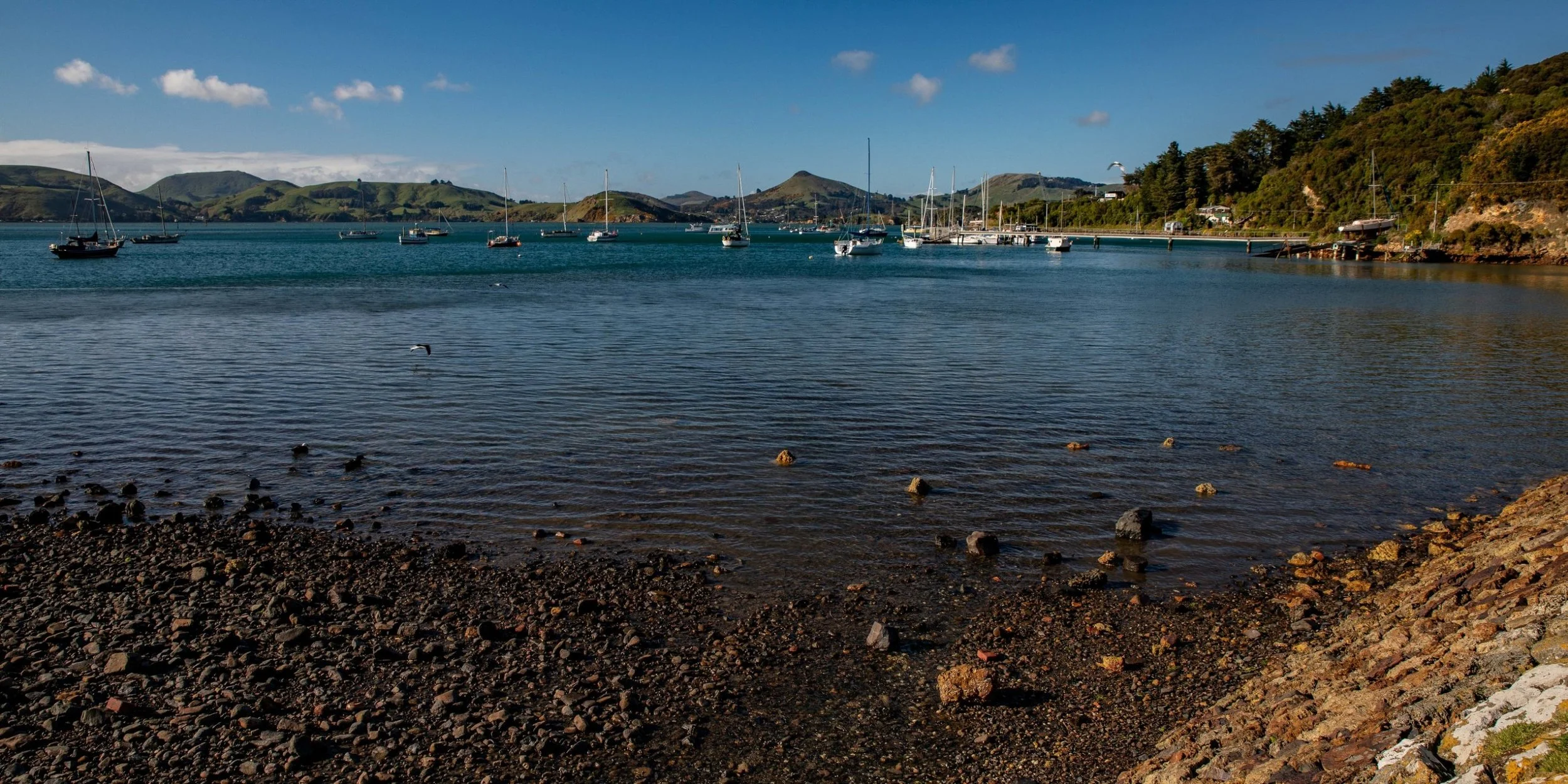 Port Chalmers,-390.JPG