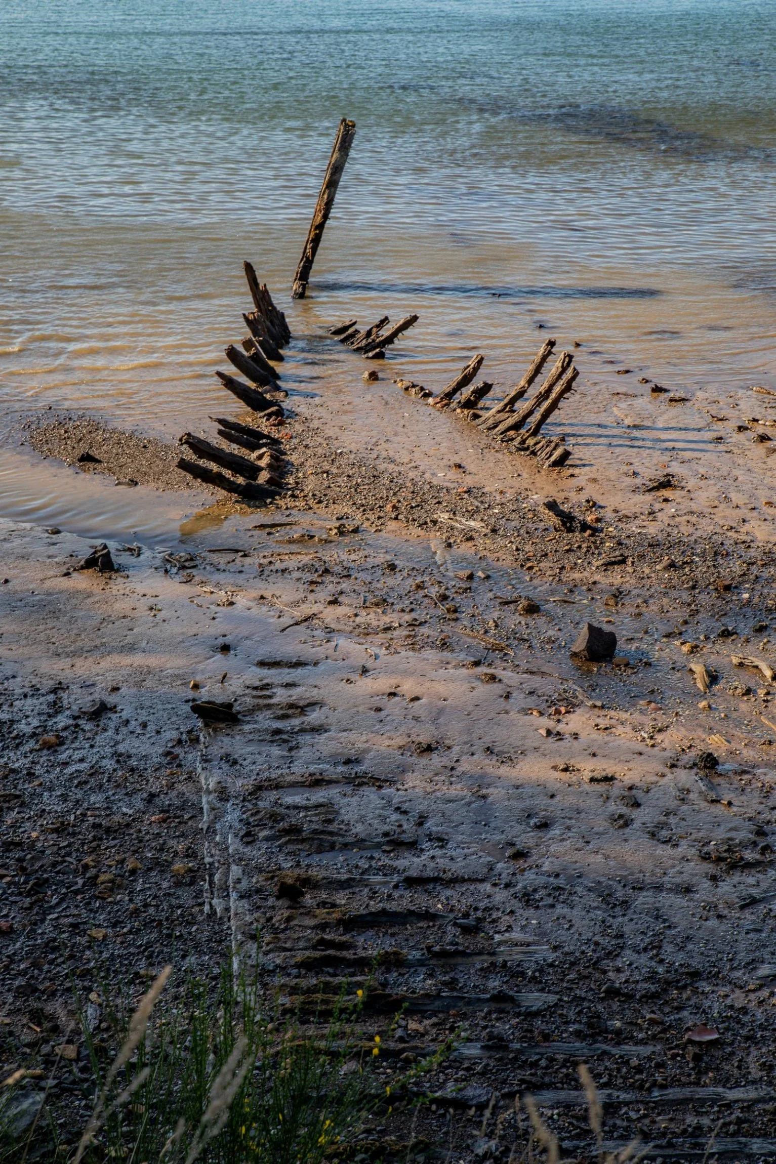 Port Chalmers,-399.JPG