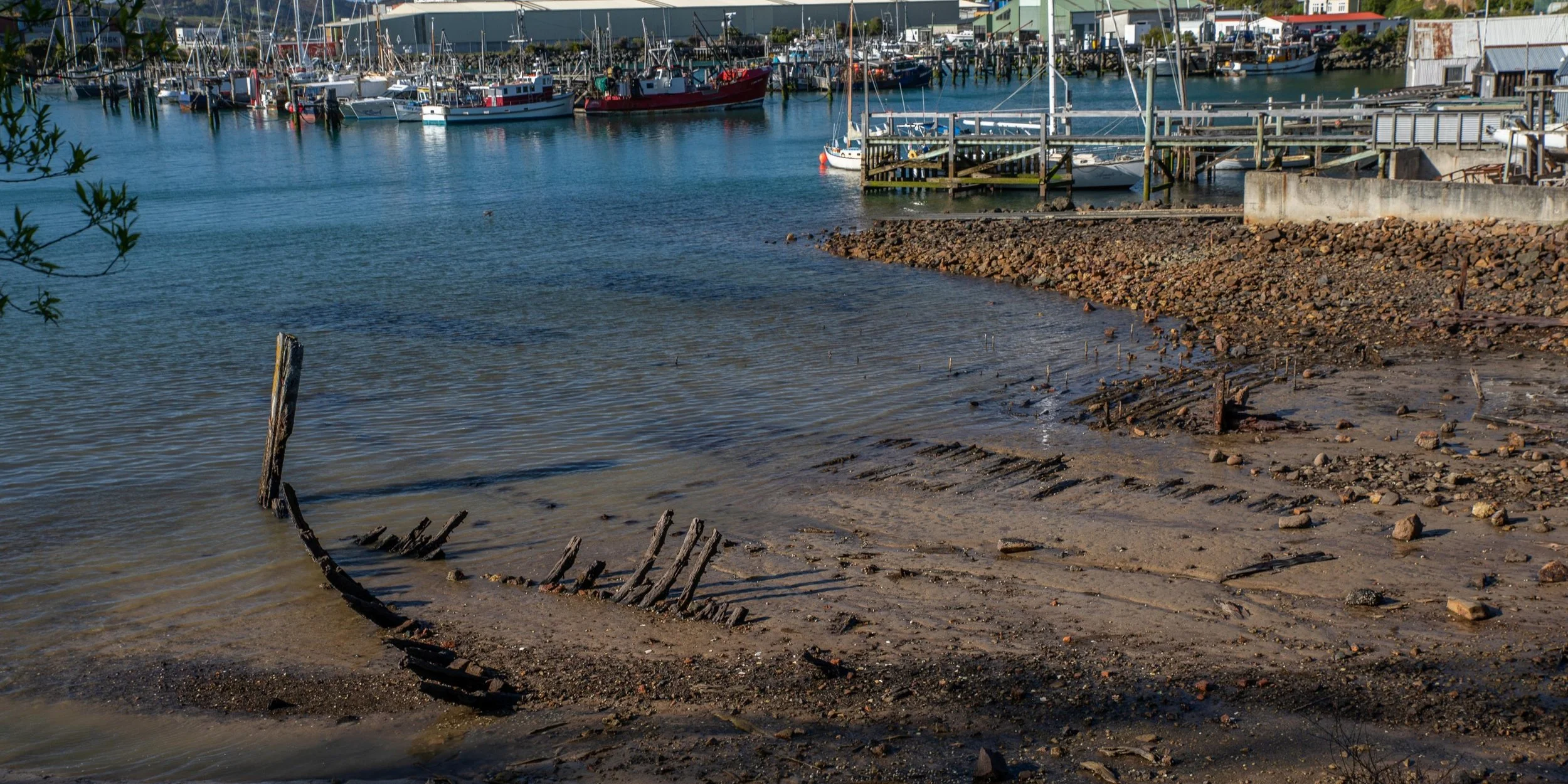 Port Chalmers,-400.JPG
