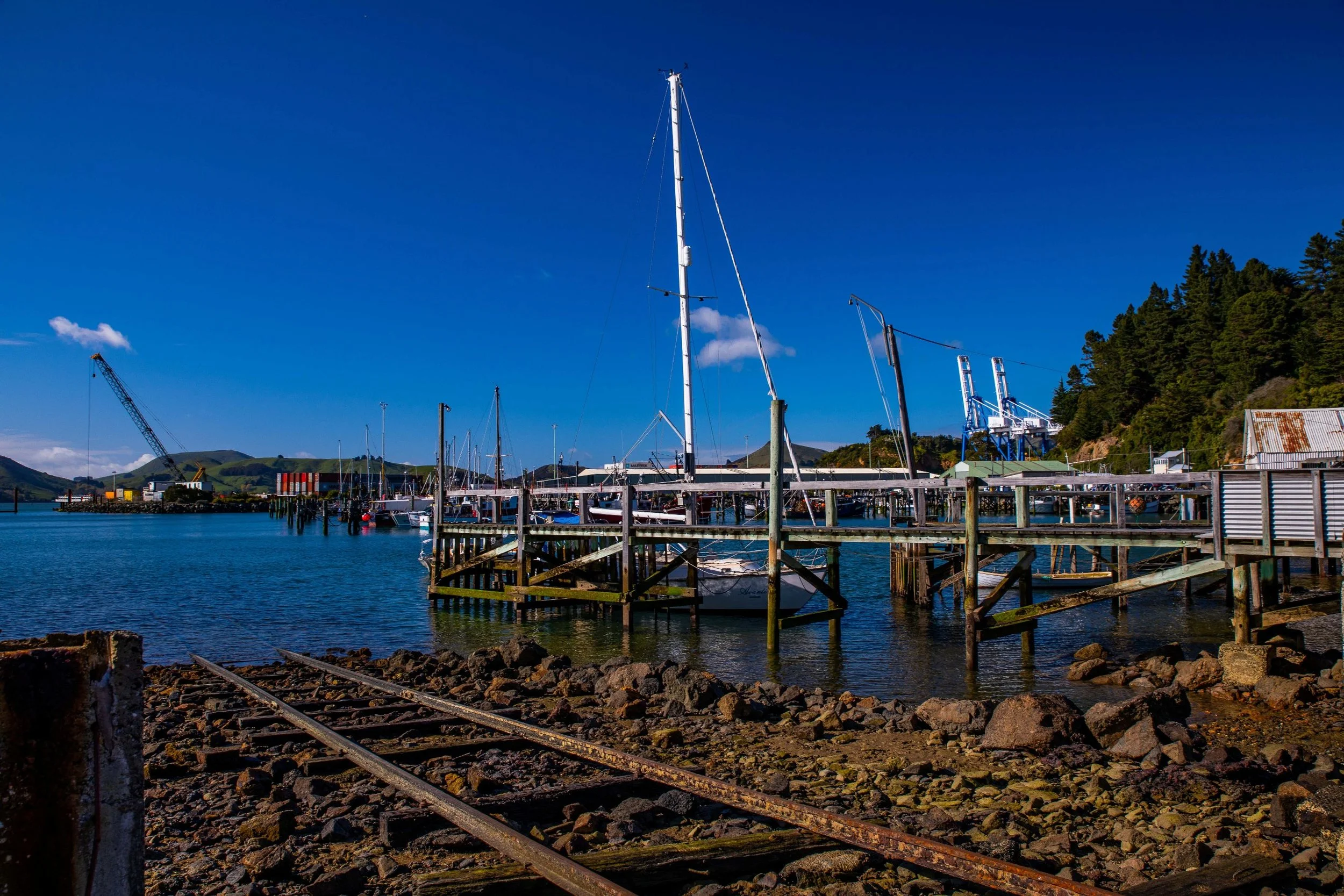 Port Chalmers,-410.JPG