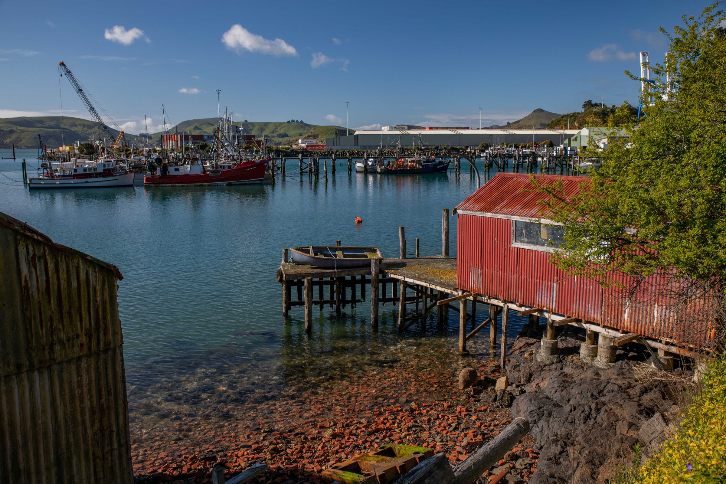 Port Chalmers,-413.JPG