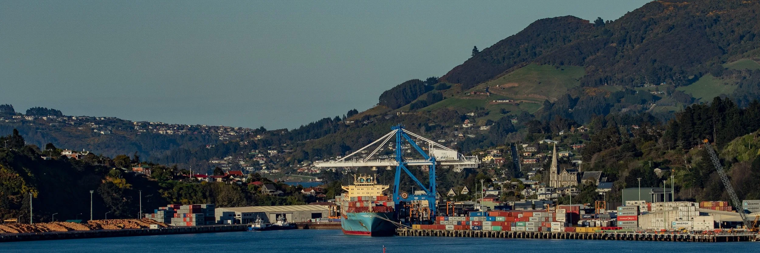 Port Chalmers,-531.JPG