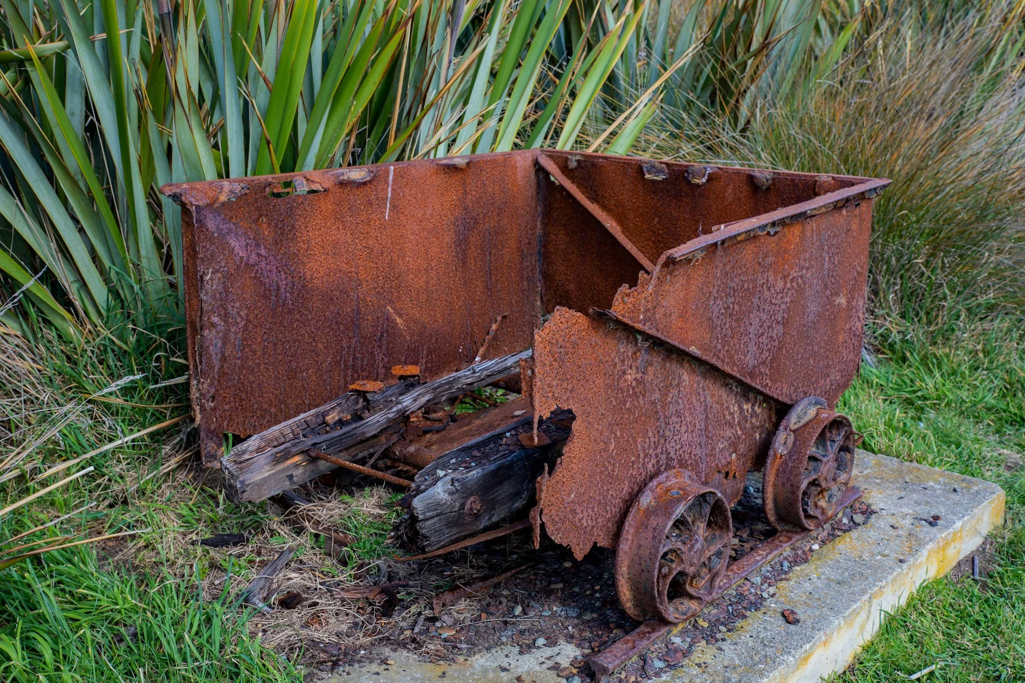 Shag Point,Matakaea Reserve,-291.JPG